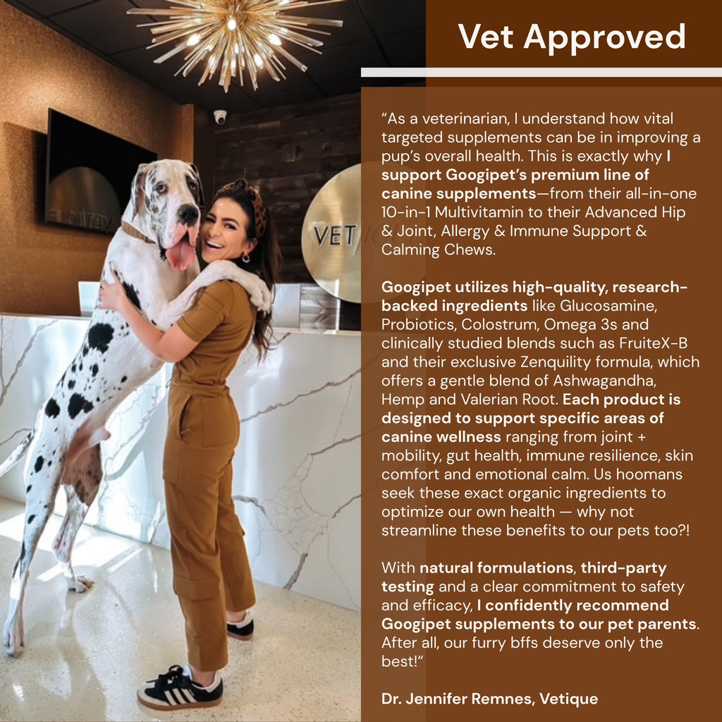 Googipet Probiotics for Dogs Digestive Health - Prebiotics and Probiotics Chews for Dog Yeast Infection Treatment + Digestive Enzymes - Dog Probiotics for Itchy Skin & Ears w/Papaya, Pumpkin, & Fiber GOOGIPET NATURAL PET PRODUCTS Au supplements
