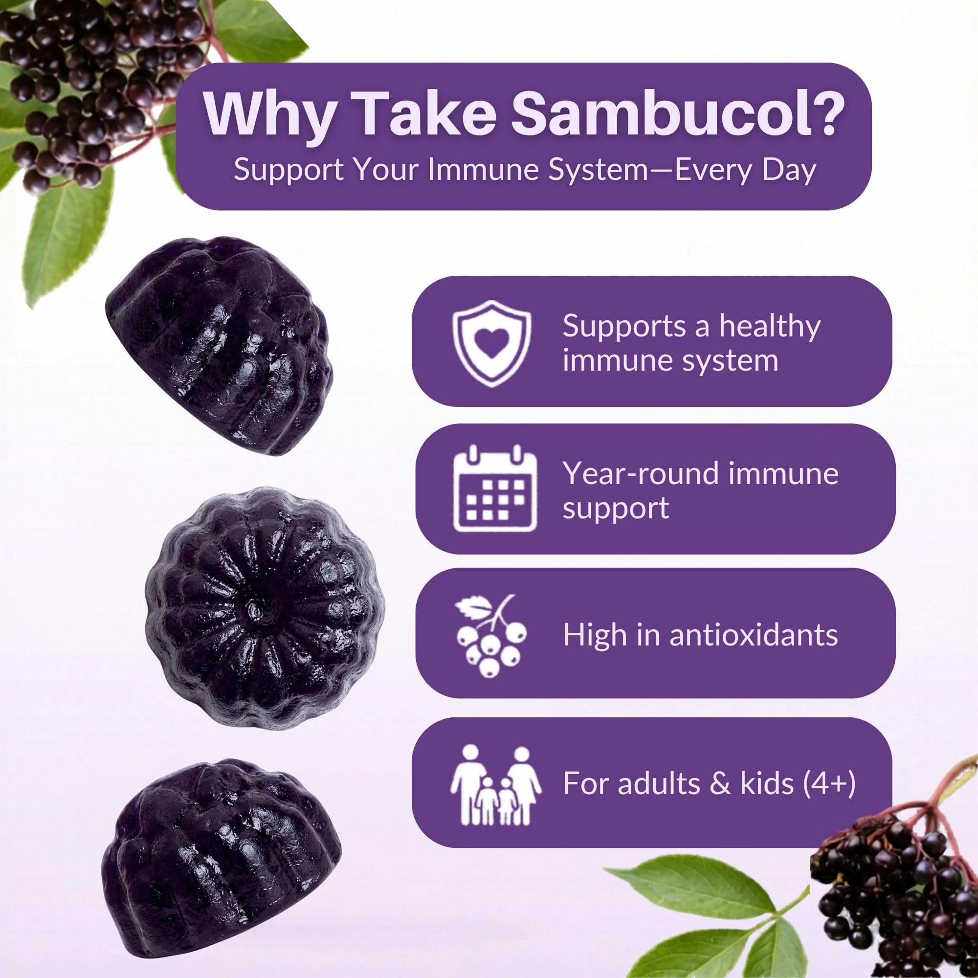 Sambucol Elderberry Gummies - Immune Support Supplement for Adults & Kids with Vitamin C & Zinc, Sambucol Elderberry