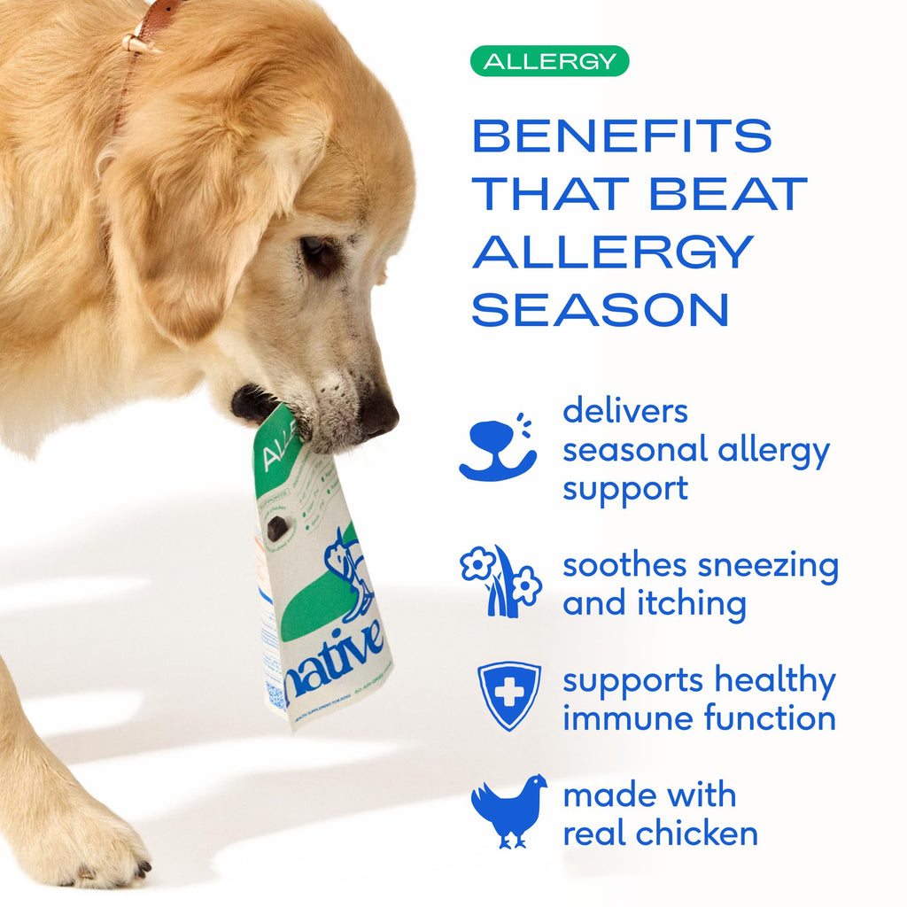 Native Pet Dog Allergy Chews - Dog Allergy Relief for Medium Breeds - Supports Seasonal Itch Relief, Healthy Immune Function & Reduces Sneezing - Colostrum, Spirulina, & Probiotics - 30 Days Supply Native Pet Au supplements