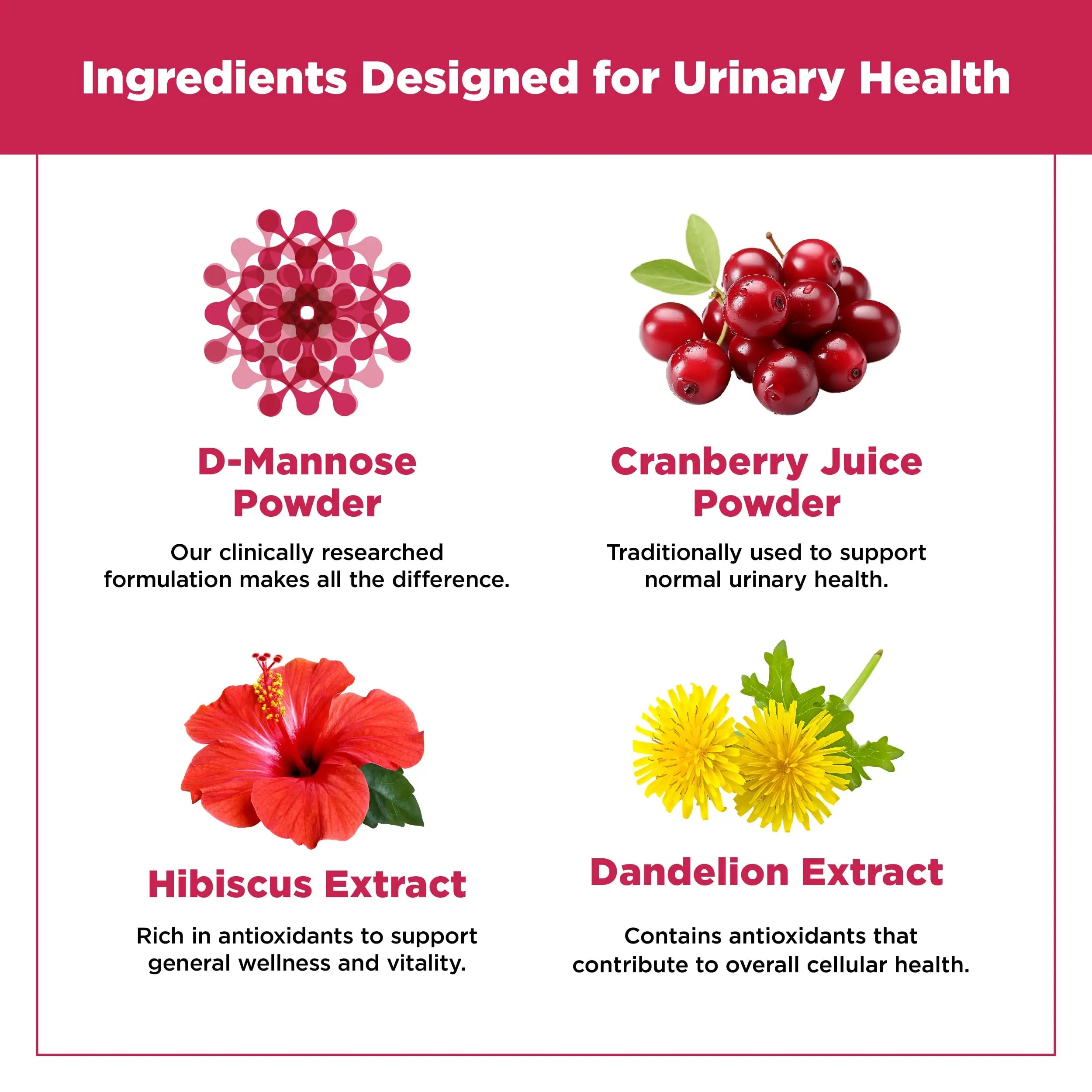 Plantvital D Mannose Capsules with Cranberry - D-mannose 1000mg Capsules - High Potency for Bladder, Kidney and Urinary Tract Support. Cranberry Powder with Hibiscus and Dandelion. 2 Months Supply Plantvital Au supplements