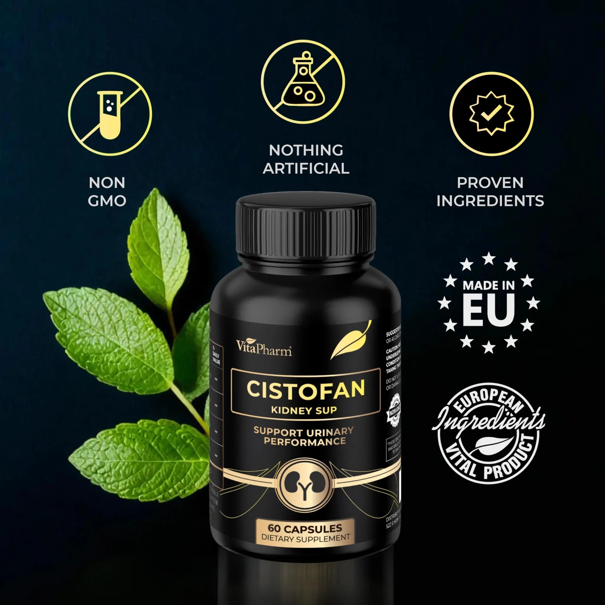 CISTOFAN Kidney Support Supplement – Herbal Formula with Java Tea, Birch Leaf, Parsley & Cranberry – Supports Urinary Tract & Kidney Function – Natural Diuresis – 60 Capsules – Non-GMO – Made in EU VitaPharm Au supplements