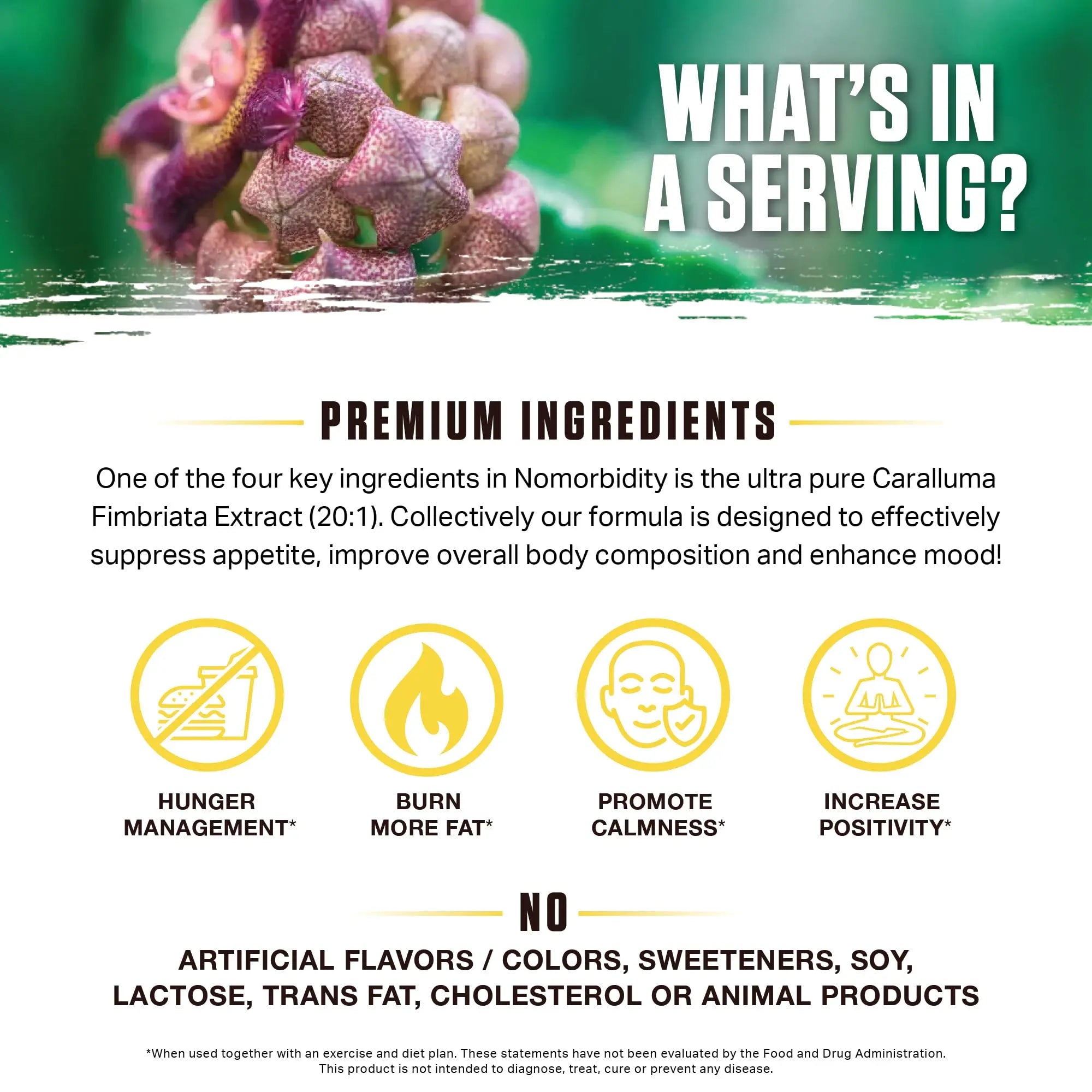 Ambrosia Nomorbidity Advanced Appetite Control & Hunger Management Formula Ambrosia Au supplements