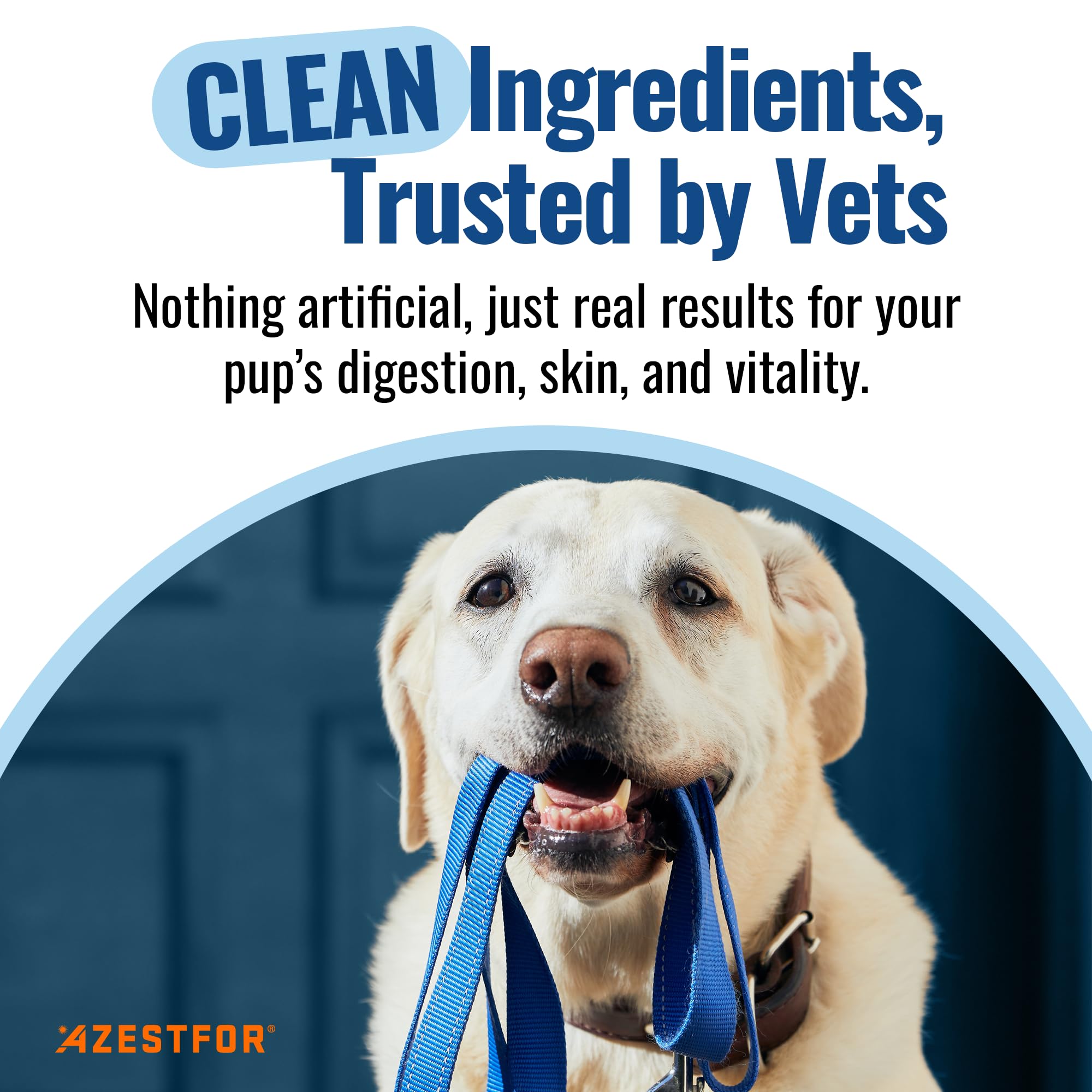 Azestfor Gut Health Supplement for Dogs – 3 in 1 Probiotic, Prebiotic & Postbiotic Blend – Supports Digestion, Immunity & Skin – Easy-to-Use Powder – for All Breeds & Sizes – 60g (30 Servings) Azestfor Au supplements
