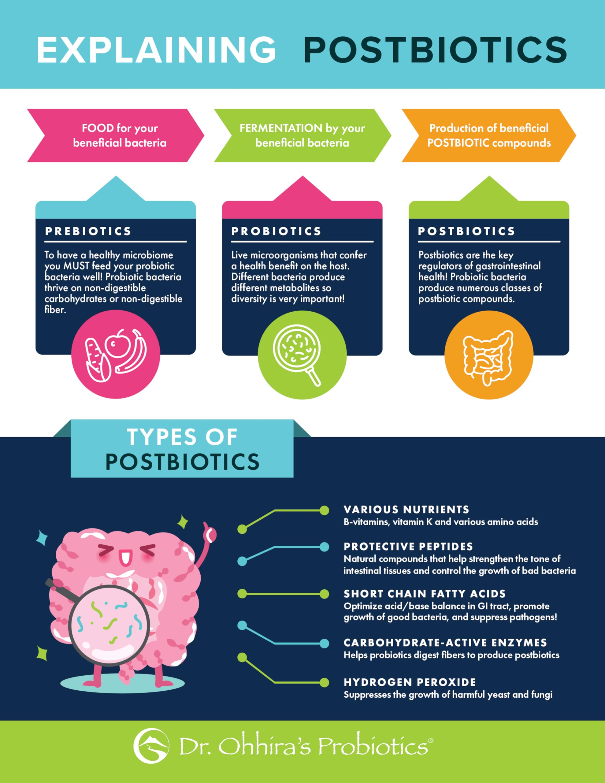 Essential Formulas Dr. Ohhira’s Probiotics Original Formula with 3 Year Fermented Prebiotics, Live Active Probiotics and The only Product with Postbiotic Metabolites, 60 Capsules Essential Formulas Au supplements