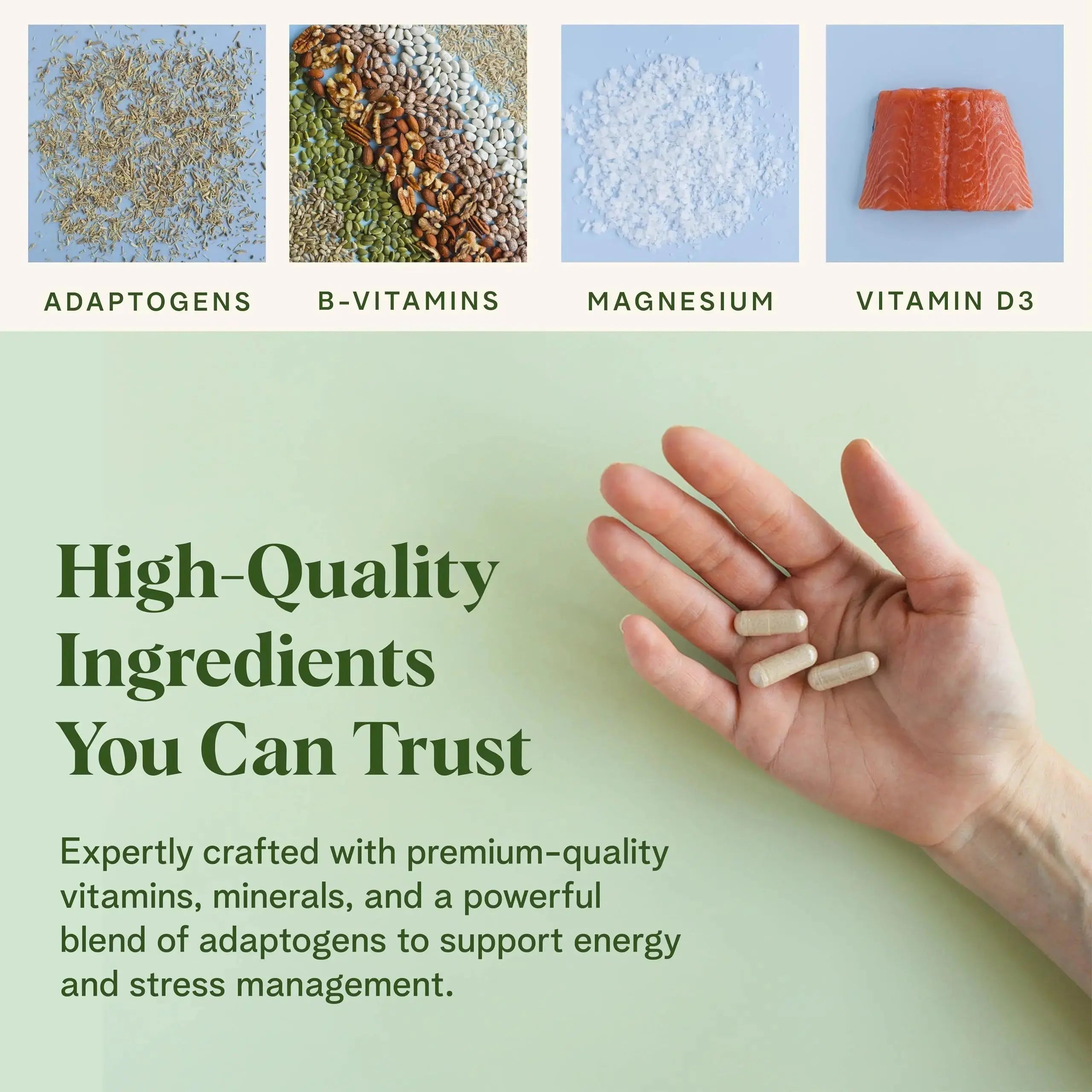 Healthy Response Daily Response Multivitamin 90 Capsules - Multivitamin + Adaptogen Blend for Energy & Stress Support Healthy Response Au supplements