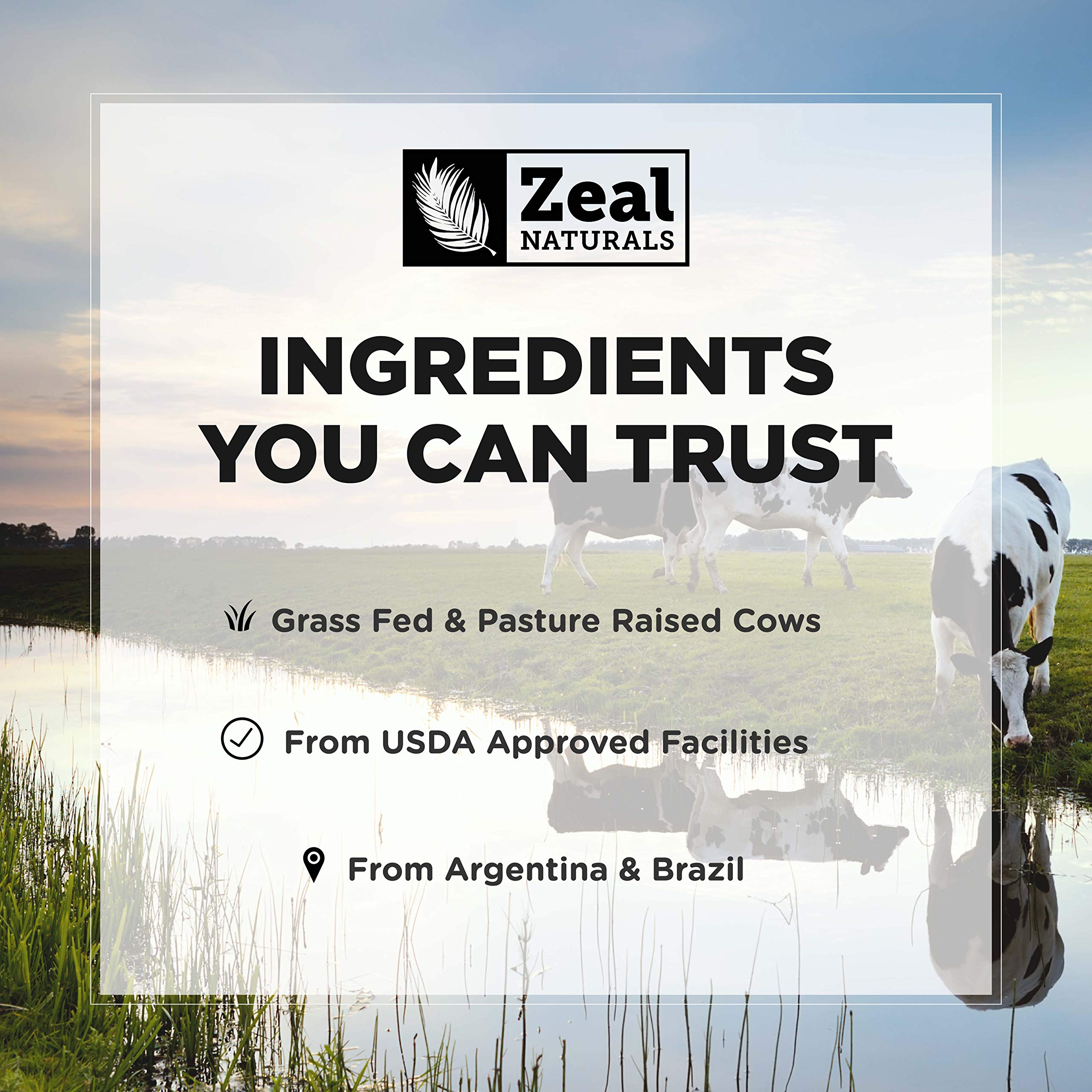 Zeal Naturals Collagen Peptides Collagen Pills (360 Capsules) Grass Fed Collagen Pepetide Powder - Hydrolyzed Collagen Powder for JointTendon SupplementHair Skin and Nails - Zeal Naturals Au supplements