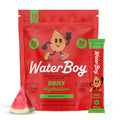 Waterboy Daily Hydration | 1,570mg Electrolyte Powder Packets | No Sugar, All Natural, Gluten Free, Zero Calories | 15 Drink Stick Mixes (Watermelon)