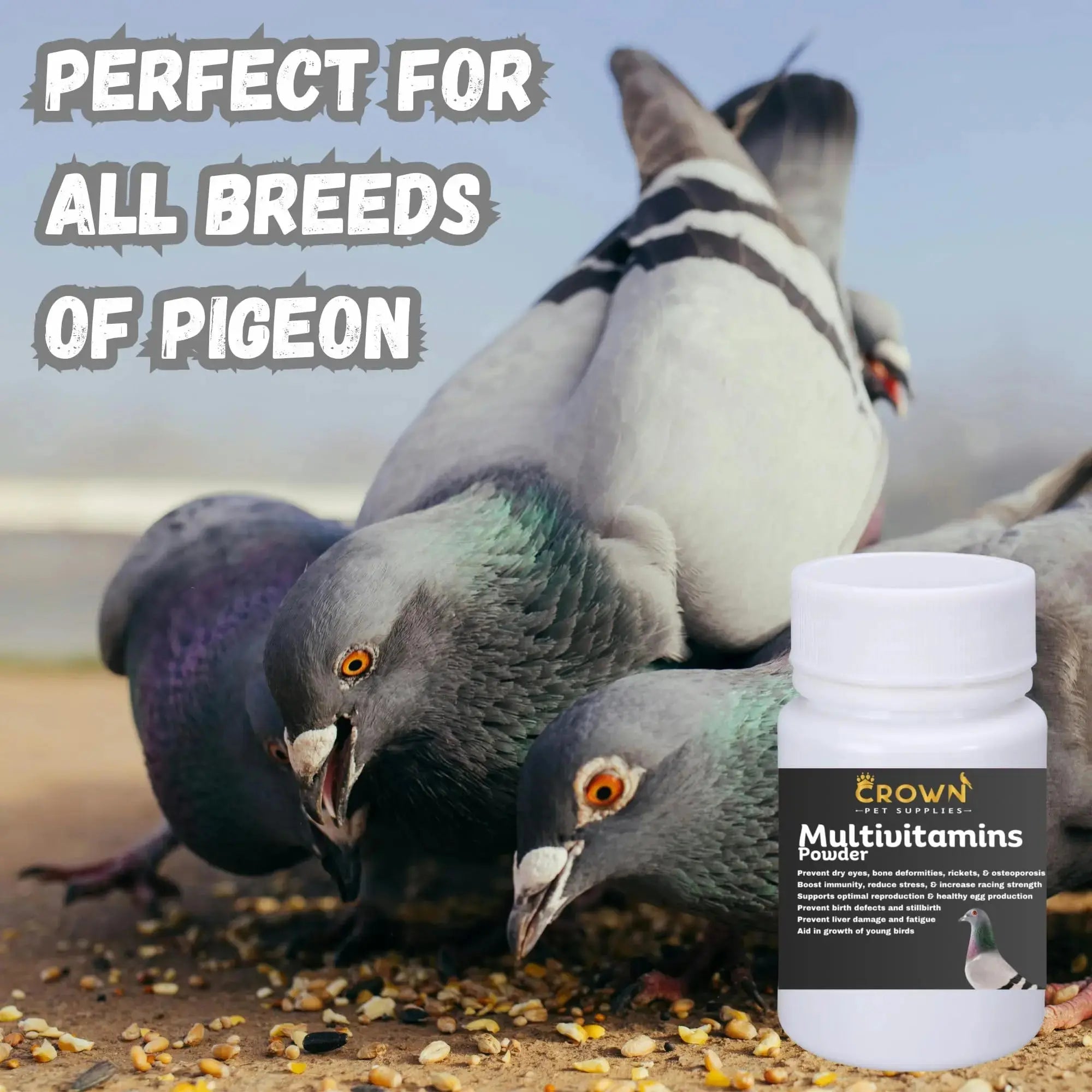 Multivitamin Powder for Pigeons – Ultimate Vitamin Formula for Racing & Breeding – Supports Growth, Bone Strength, Reproductive Health & Feather Health Crown Pet Supplies Au supplements