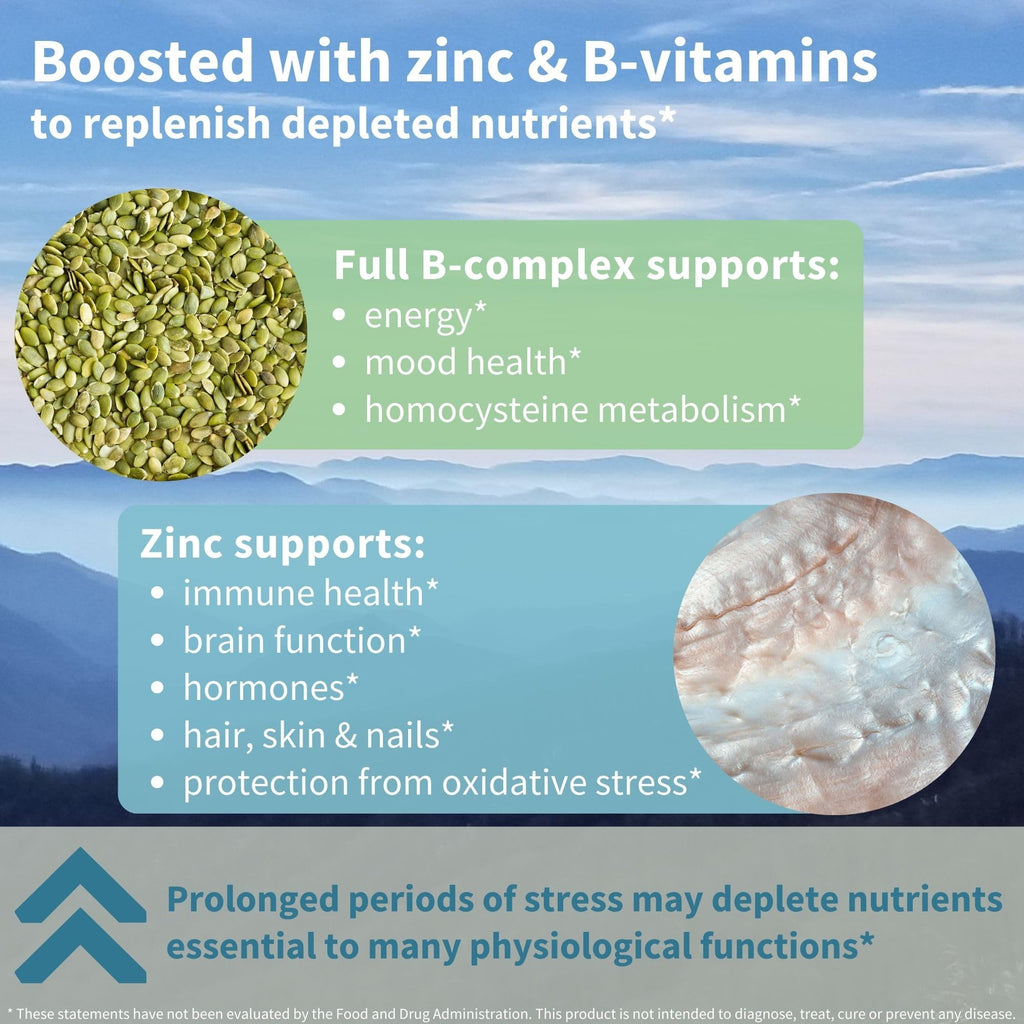 Igennus High Strength Ashwagandha, Magnesium, & L-Theanine Stress Relief Complex, KSM-66 Root Extract Adaptogens, Boosted with Methylfolate, Zinc & Biotin Clean Label, 60 Fast Acting Capsules Igennus Healthcare Nutrition Au supplements