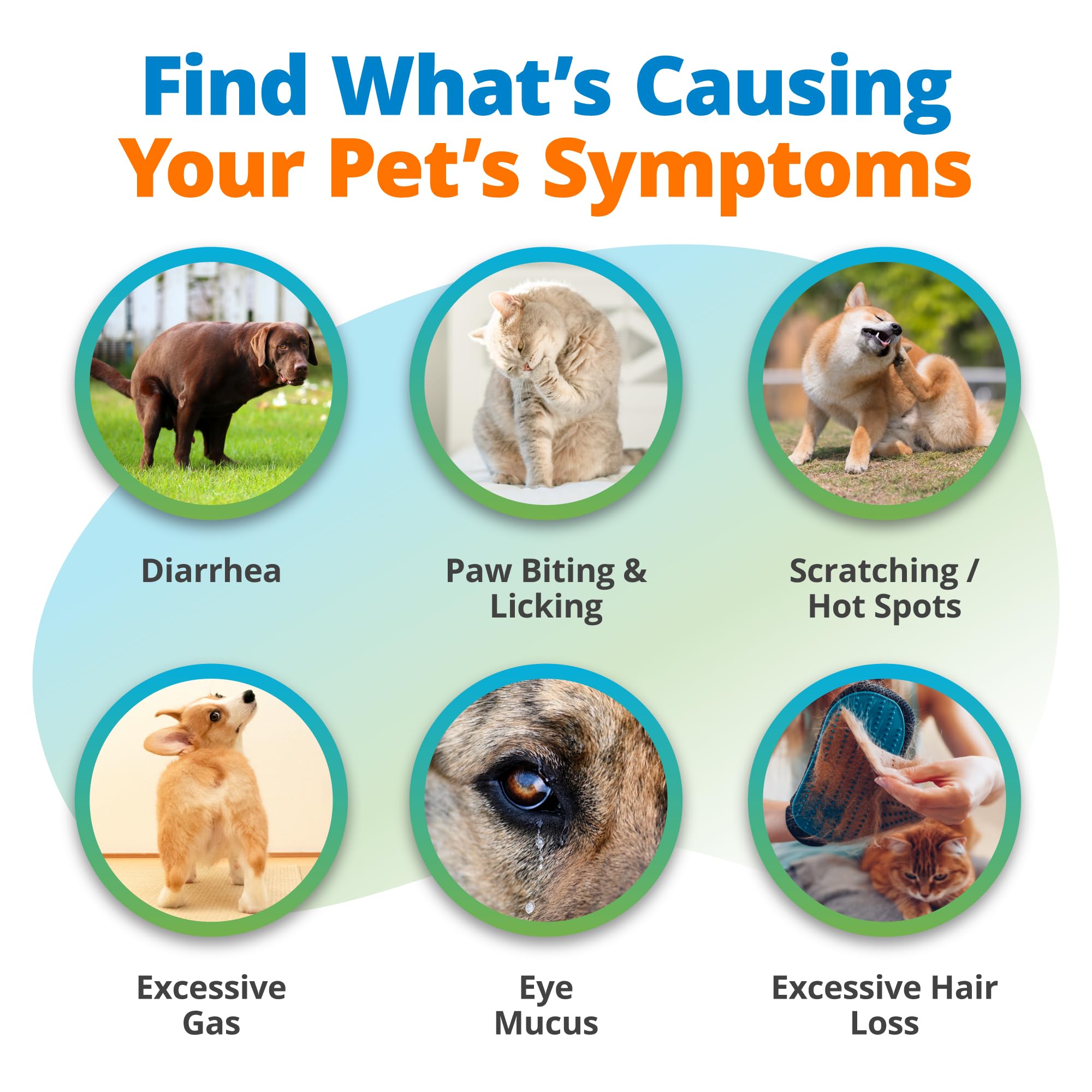 5Strands Raw & Fresh Pet Food Intolerance Test, at Home Gut Health Test for Dogs & Cats, 400+ Raw & Gently Cooked Fresh Food Items Tested, Accurate for All Ages & Breeds, Fast 4 Day Results 5Strands Au supplements