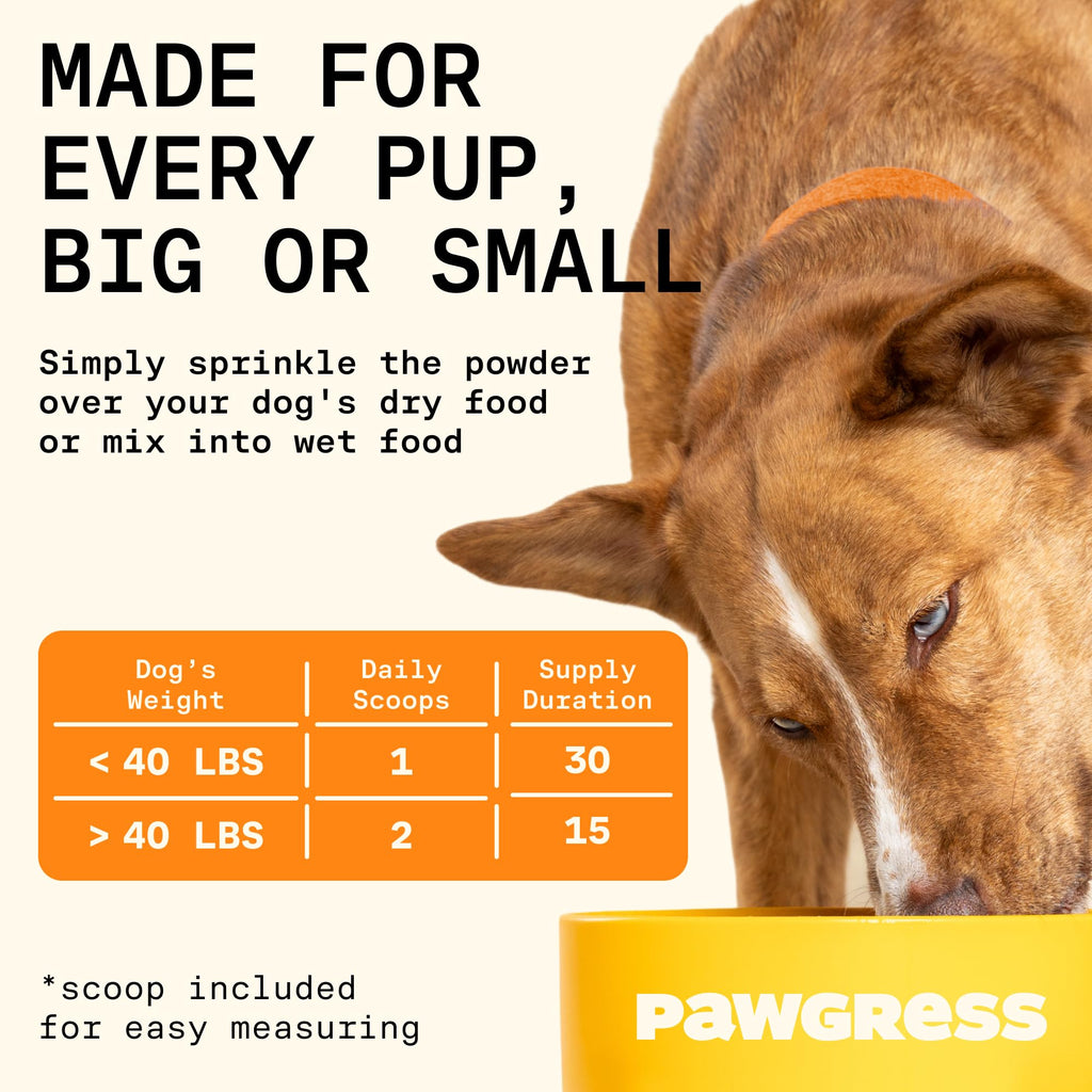 Pawgress 5-in-1 Dog Probiotic Powder – 100% Natural Gut Health Support with Prebiotics, Postbiotics & Enzymes - Made in USA – 30 Scoops PAWGRESS Au supplements