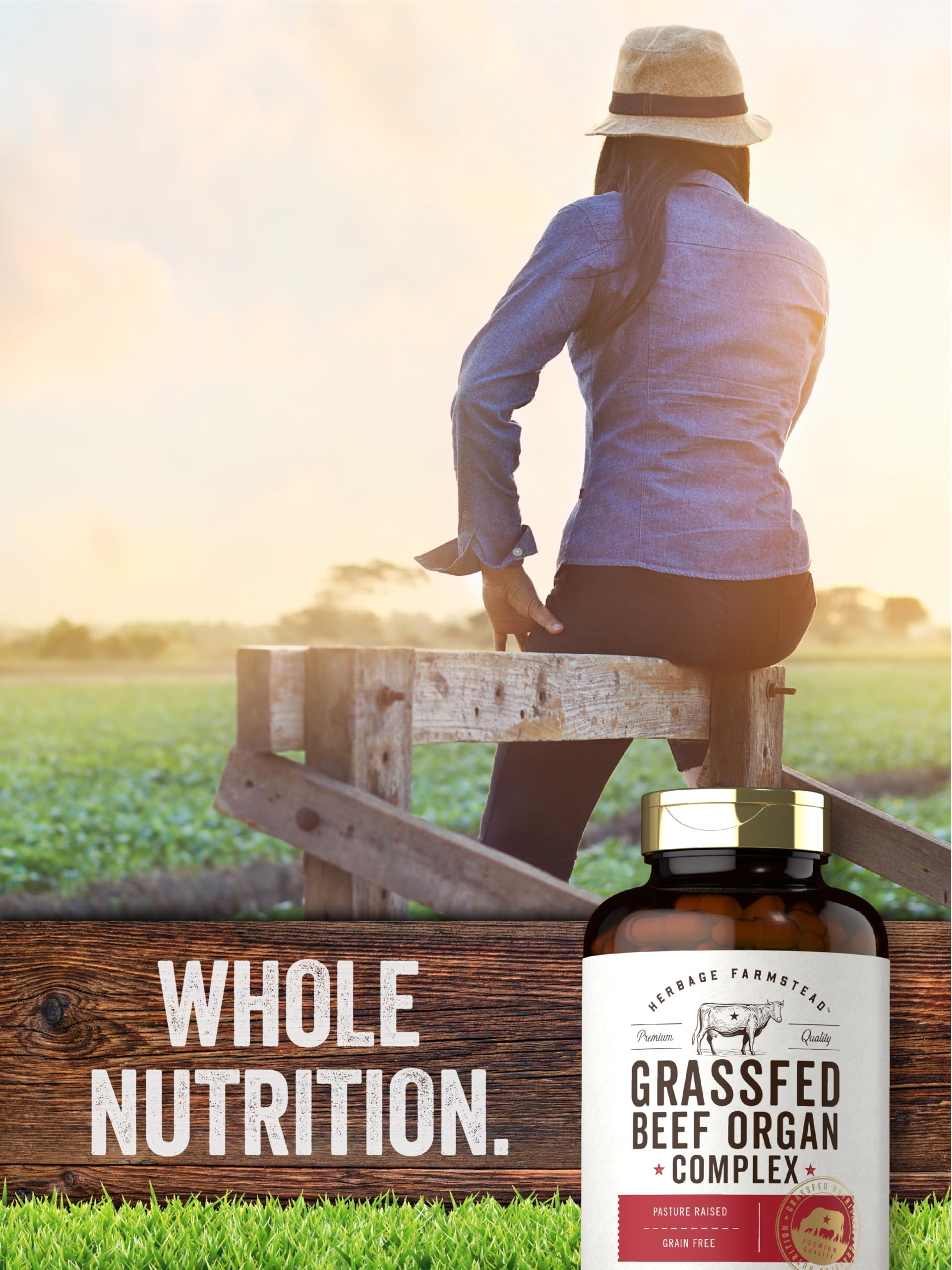 Carlyle Grass Fed Beef Organ Complex | 200 Capsules | Pasture Raised, Grain Free Supplement | with Desiccated Liver, Kidney, Pancreas, Heart, Spleen