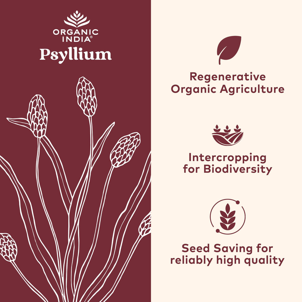 ORGANIC INDIA Psyllium Husk Capsules - Fiber Supplement, Healthy Elimination - Vegan, Keto Friendly, Gluten-Free, USDA Certified Organic, Non-GMO