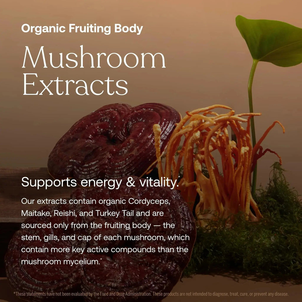 True Grace One Daily Women’s Multivitamin Fermented Minerals, Organic Adaptogens & Mushrooms Whole Body Balance, Immune, Energy, Beauty Support True Grace Au supplements