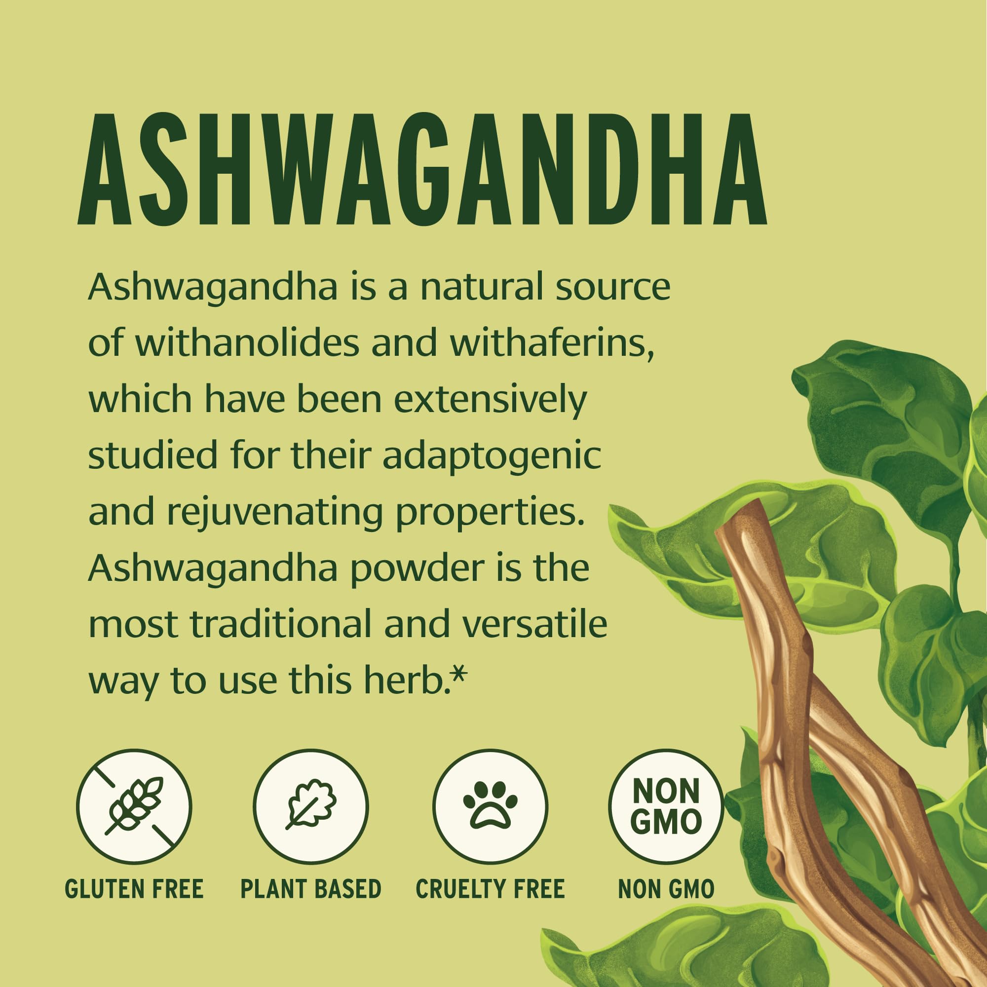 Banyan Botanicals Organic Ashwagandha Root Powder–1lb Bulk (504 Servings)Natural Cortisol Manager & Adrenal Support–Stress Relief, Better Sleep & Energy–Adaptogen for Smoothies & Moon Milk–Vegan,FFL* Banyan Botanicals Au supplements