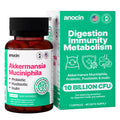 anocin Akkermansia Muciniphila + Probiotic, Postbiotic & Inulin - Gut Health Supplement for Digestion, Immune Support - 10 Billion CFU, Vegan & Gluten-Free anocin Au supplements
