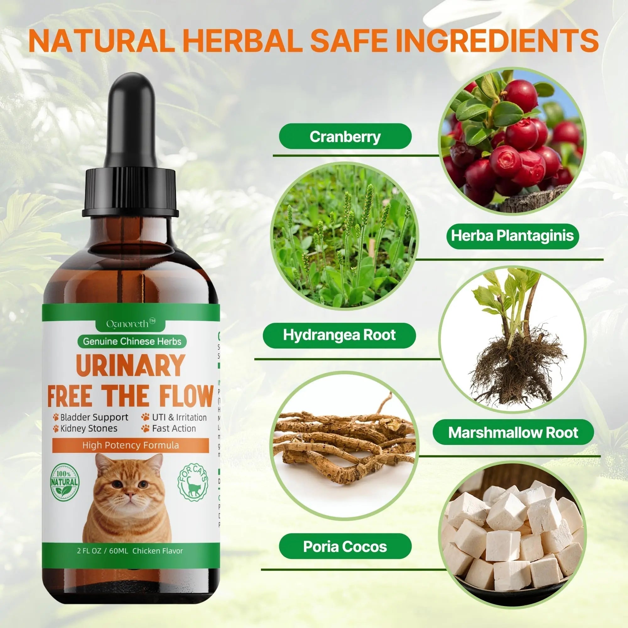 Cat Bladder Remedy for Stones & Crystals, Kidney StonesDissolver forCat- Urinary Free The Flow - Cat Urinary Tract Infection Treatment for Stones, Herbal CatUTI Remedy for Stone Relief & Prevention Qanoreth Au supplements