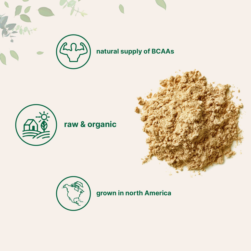 North America Grown, Organic Pea Protein Powder, 1KG (2.2 Pounds) | Plant-Based Vegan Protein, Meatless Protein Supplement, Natural Branched Chain Amino Acids | Non-GMO, Soy Free