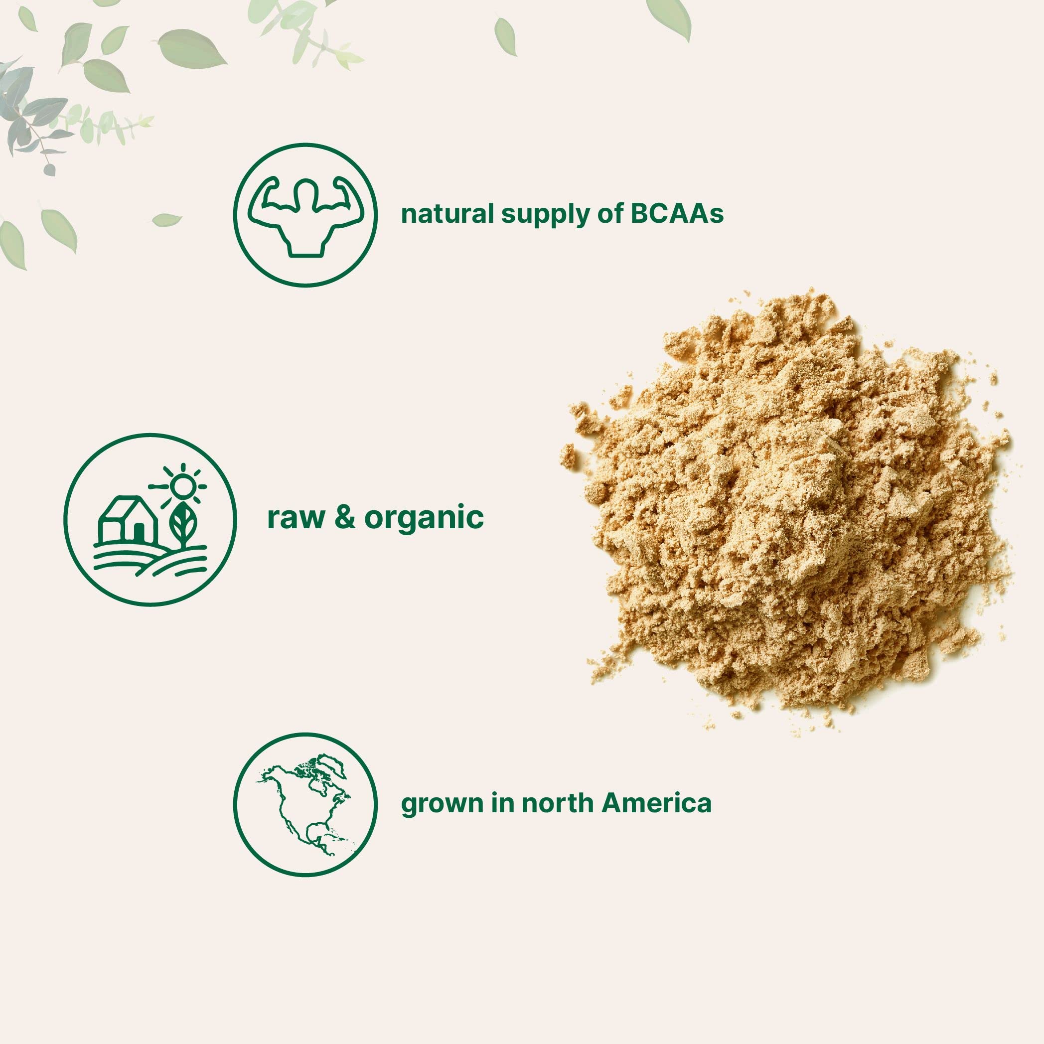 North America Grown, Organic Pea Protein Powder, 1KG (2.2 Pounds) | Plant-Based Vegan Protein, Meatless Protein Supplement, Natural Branched Chain Amino Acids | Non-GMO, Soy Free