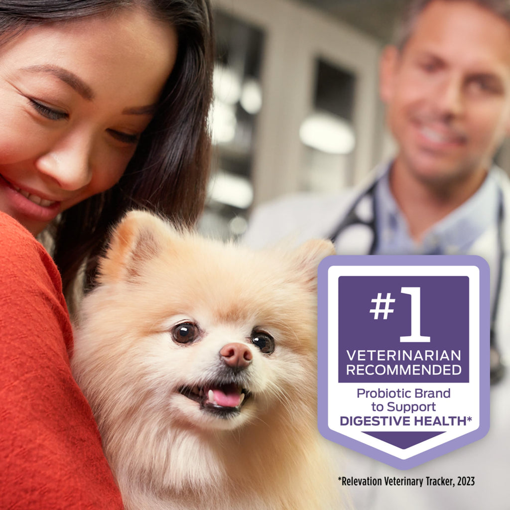 Purina Pro Plan Veterinary Supplements FortiFlora Daily Probiotics for Dogs, Helps Digestive Gut Health and Diarrhea - 30 ct. Box Pro Plan Veterinary Diets Au supplements