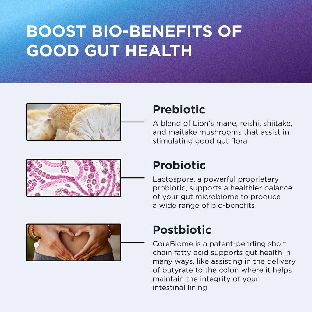 DR. EMIL NUTRITION Total Gut Health Complex - Prebiotic, Probiotic & Postbiotic Supplement - Supports Digestive Health, Bloating & Gut Balance