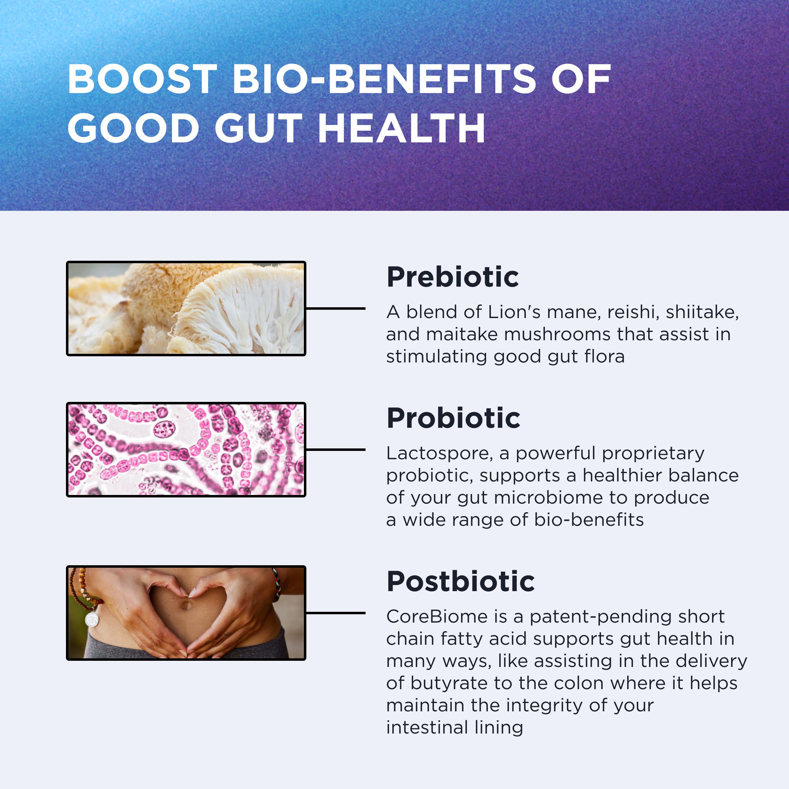 DR. EMIL NUTRITION Total Gut Health Complex - Prebiotic, Probiotic & Postbiotic Supplement - Supports Digestive Health, Bloating & Gut Balance