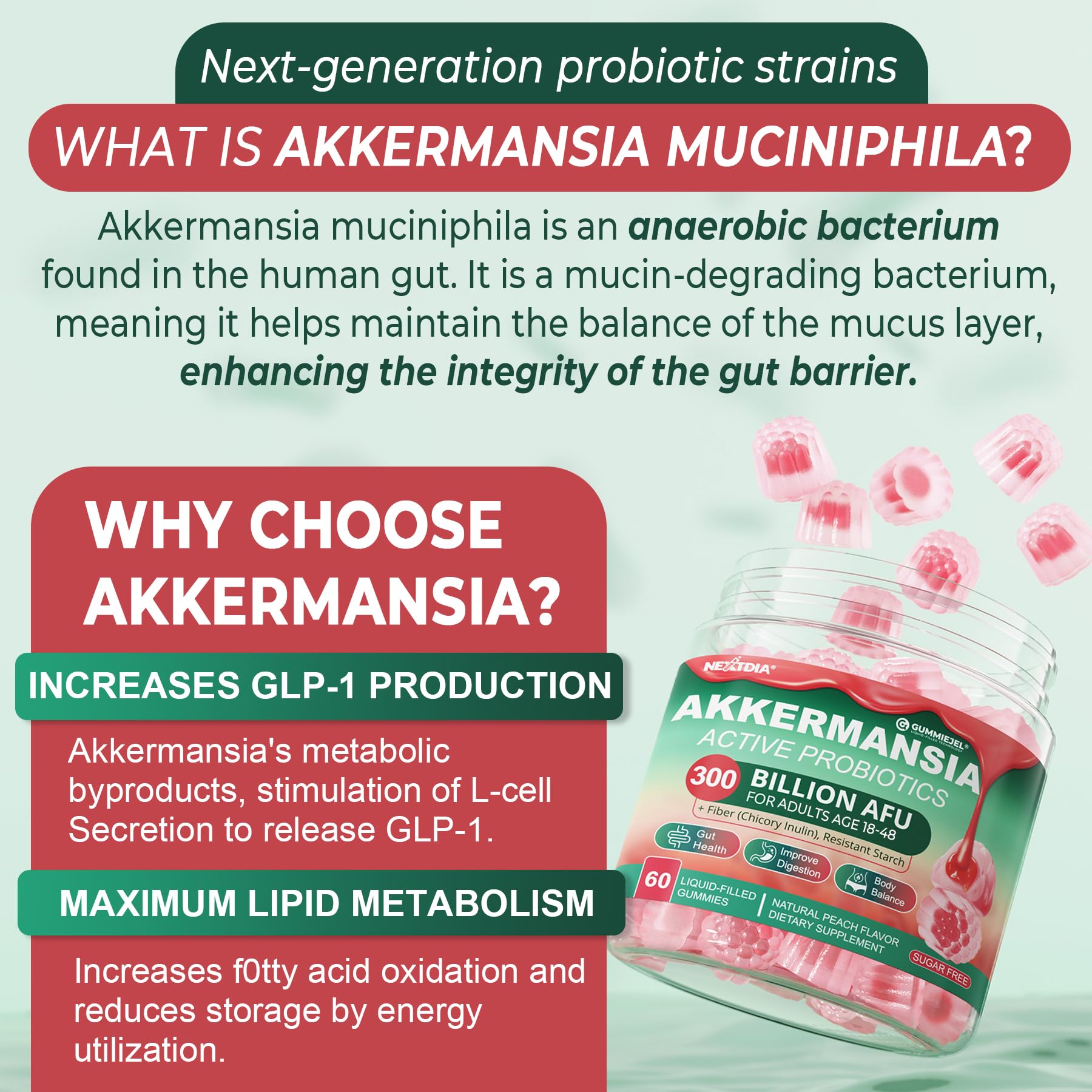 Akkermansia Probiotics Gummies with Prebiotics Fiber, 300 Billion AFU Akkermansia Muciniphila, with Polyphenol Fruits, Resistant Starch