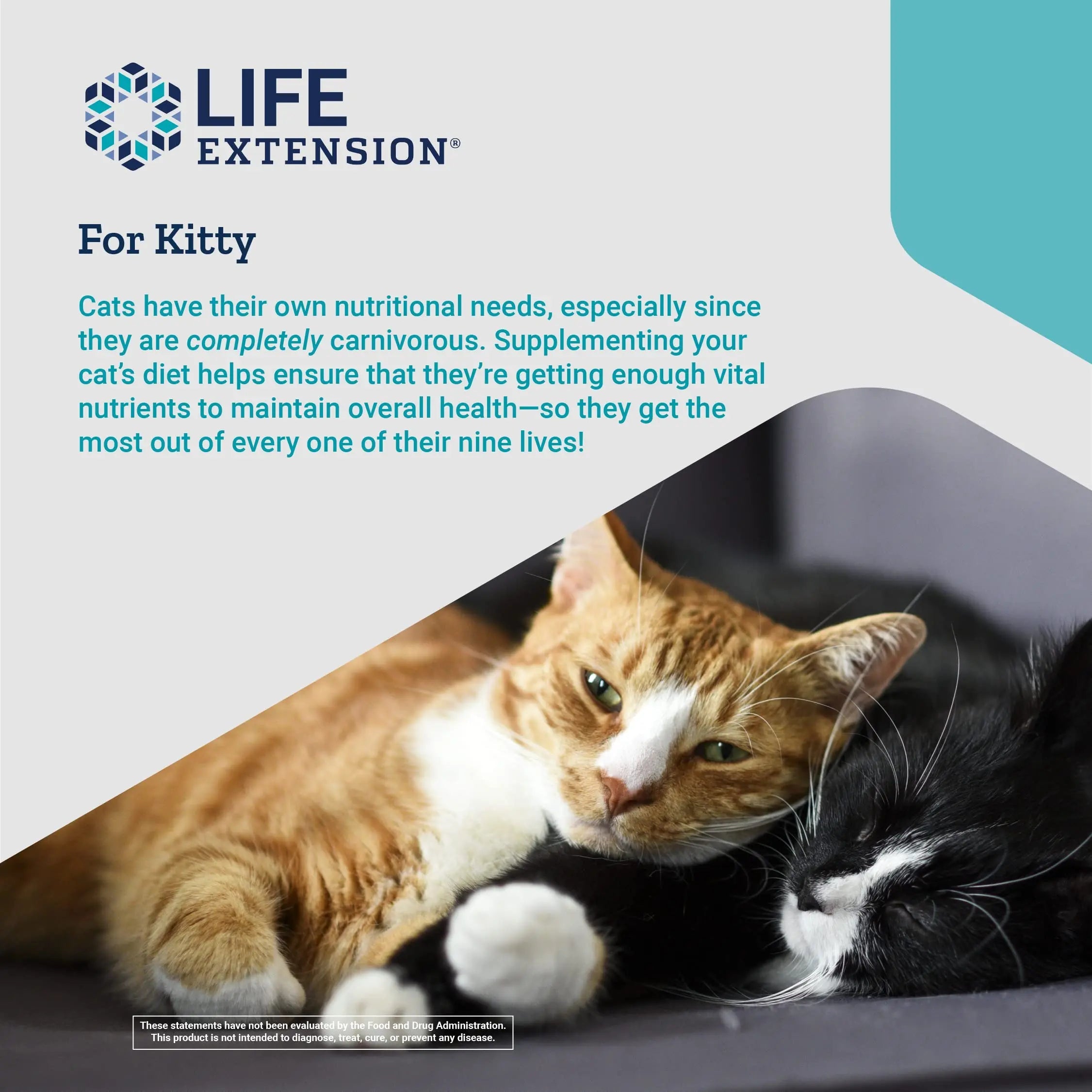 Life Extension Cat Mix – For Heart, Kidney & Pancreatic Function + Gut Health Life Extension Au supplements