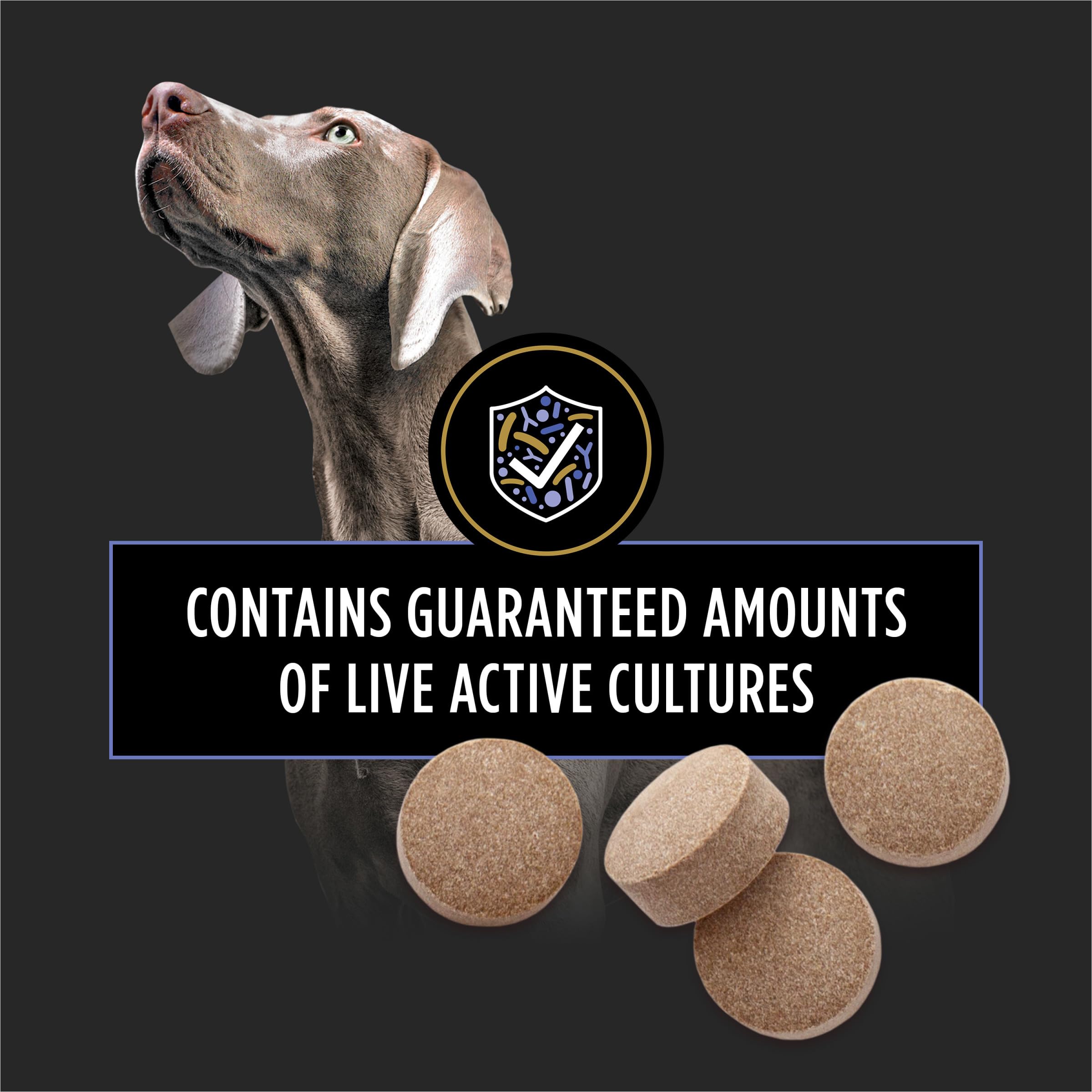 Purina Pro Plan Veterinary Supplements FortiFlora Daily Probiotics for Dogs Chewable Tablets for Digestive Gut Health and Diarrhea - 90 ct. Canister Pro Plan Veterinary Diets Au supplements