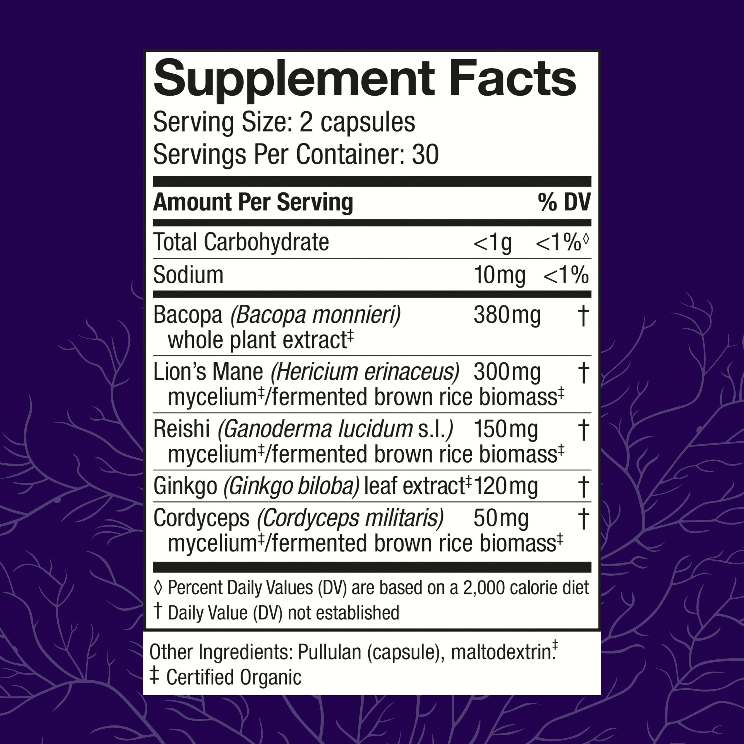 Host Defense MycoBotanicals Brain* Capsules - Brain Support Supplement with Lion's Mane, Reishi & Cordyceps Mushroom - Herbal Supplement for Memory & Focus Support - 60 Capsules Host Defense Au supplements