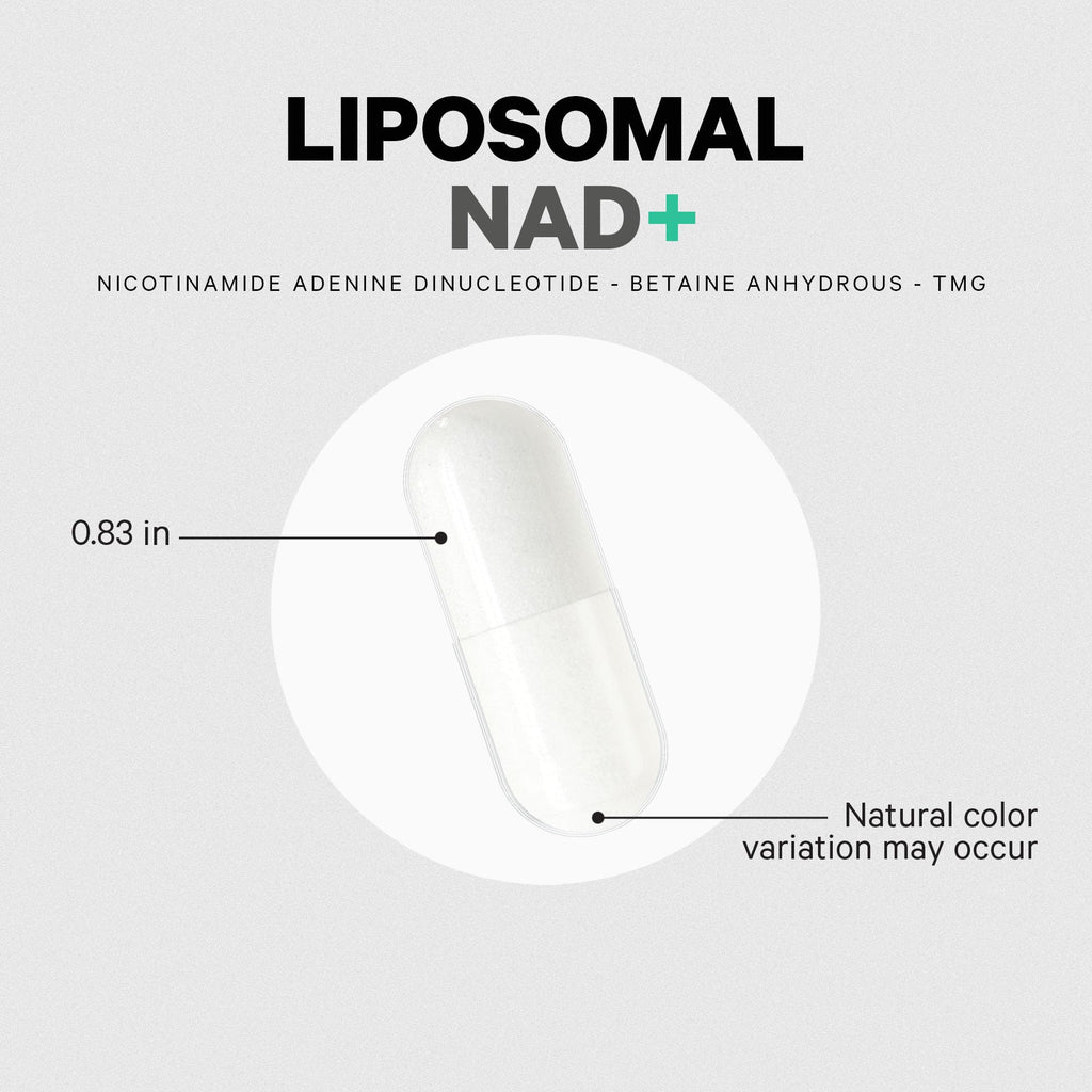 Codeage Liposomal NAD+ Supplement - NAD Nicotinamide Adenine Dinucleotide Coenzyme Pills - 500 mg NAD+ Per Serving & Betaine Anhydrous - Liposomal Delivery - Vegan, Non-GMO, Gluten-Free - 60 Capsules Codeage Au supplements