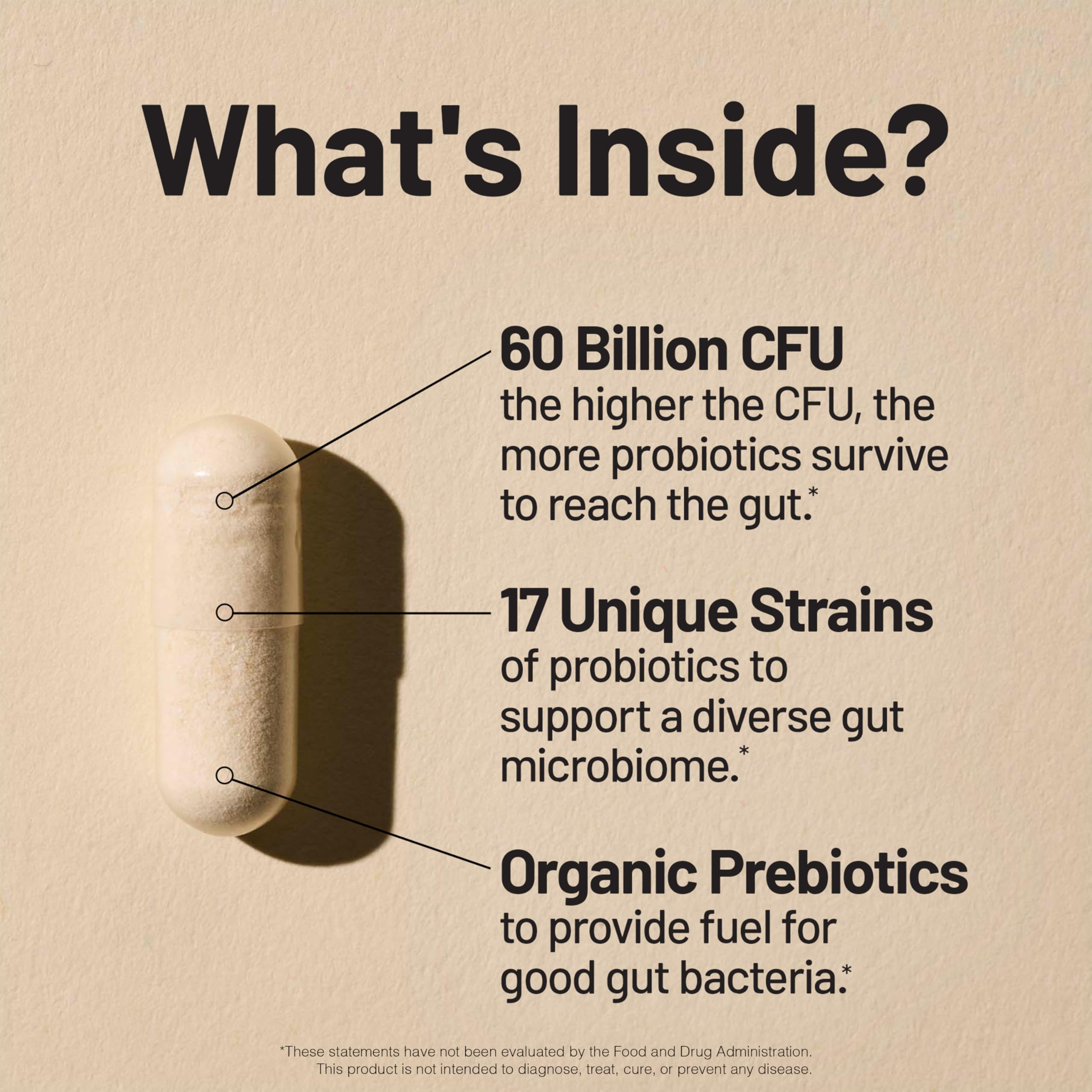 NatureWise Probiotics 60 Billion CFU - 17 Strains + Organic Prebiotics - Immune, Digestive & Gut Health Support for Women & Men - Vegetarian, Gluten-Free,