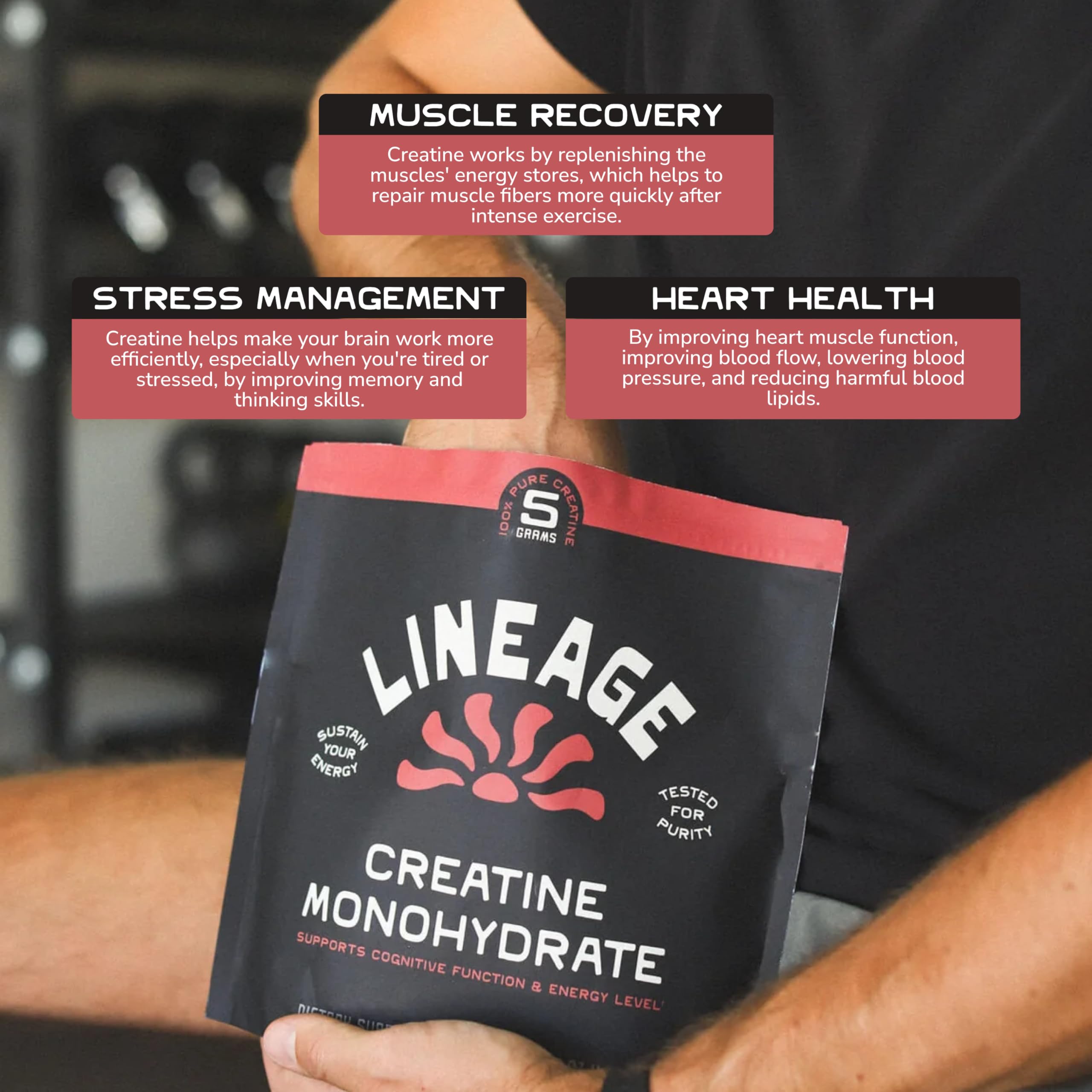 Lineage Provisions Micronized Creatine Monohydrate with Sea Salt - Micronized Creatine Powder for Training & Performance
