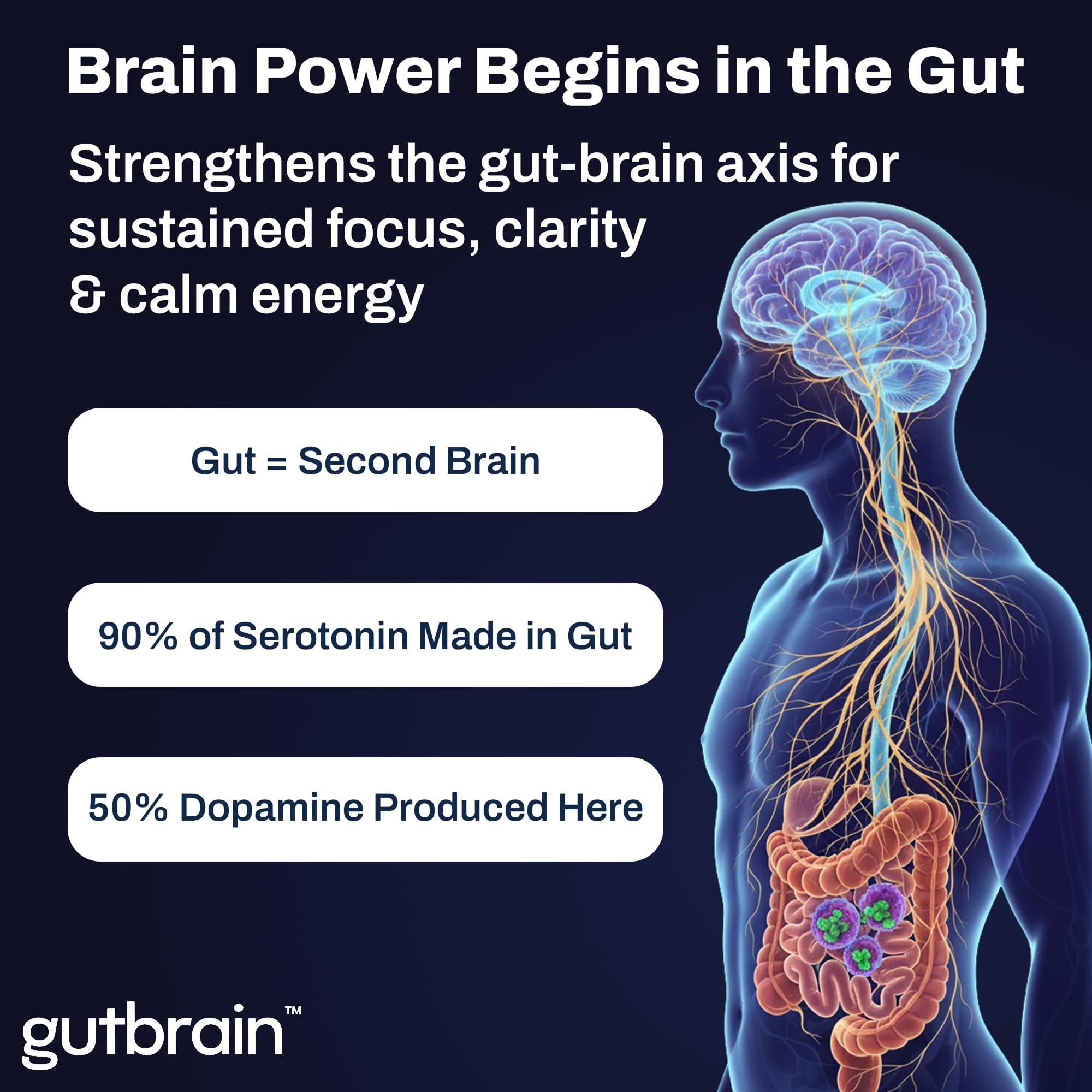 Brain Supplement for Memory and Focus with Probiotics, Advanced 2 in 1 Nootropic Brain Support for Mental Clarity, Caffeine Free Doctor Formulated Supplement, 60 Capsules Purity Labs Au supplements