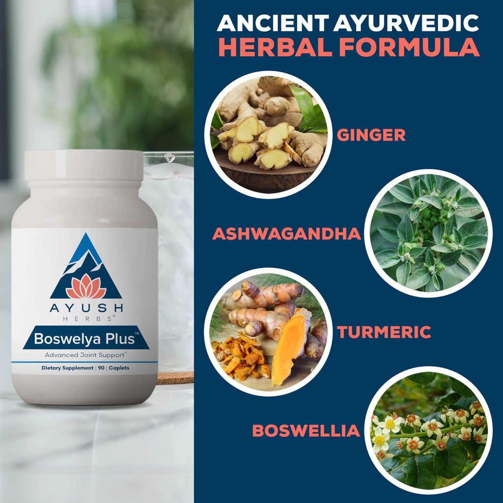 Ayush Herbs Boswelya Plus - Glucosamine Chondroitin Joint Support Supplement, Turmeric Muscle Support for Men & Women, Joint Care with Curcumin - 90 Vegetarian Capsules (1 Count) Ayush Herbs Au supplements