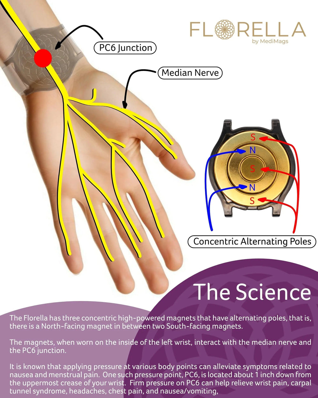 MediMags Period Pain Relief Device - Clinically Proven, All Natural Relief for A Life On The Go - The Florella Therapeutic Device Helps Alleviate The Pain from Menstrual Cramps. Florella Au supplements