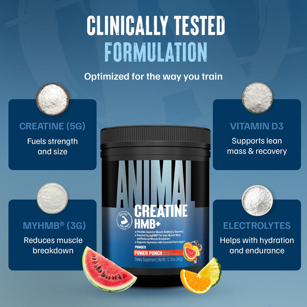 Animal Creatine HMB Powder – 3g myHMB + 5g Creatine with Electrolytes for Recovery & Daily Energy – Power Punch Flavor, 30 Servings