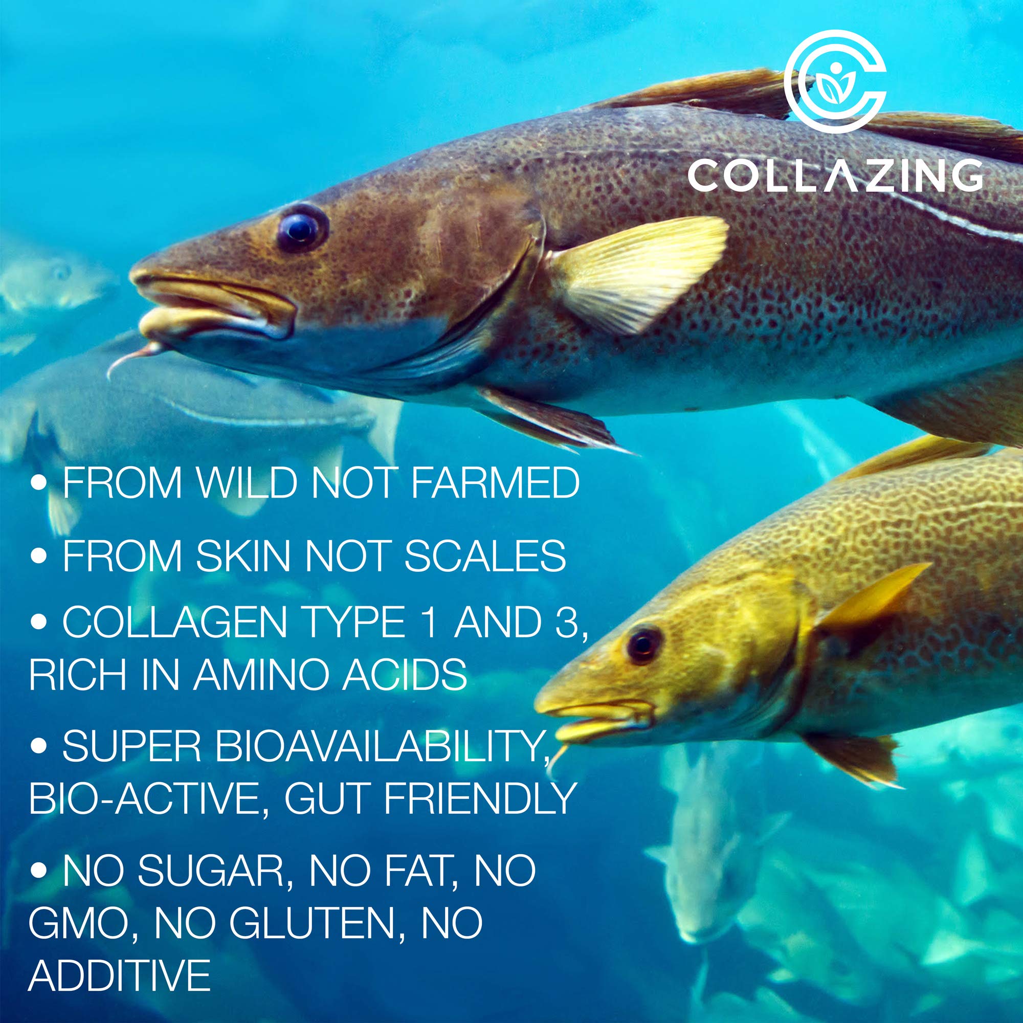 C COLLAZING - Alaskan Wild-Caught Marine Collagen Peptides with Hyaluronic Acid & Vitamin C - Supports Skin, Hair, Nails, Joints & Bones - Type 1 & 3 Collagen