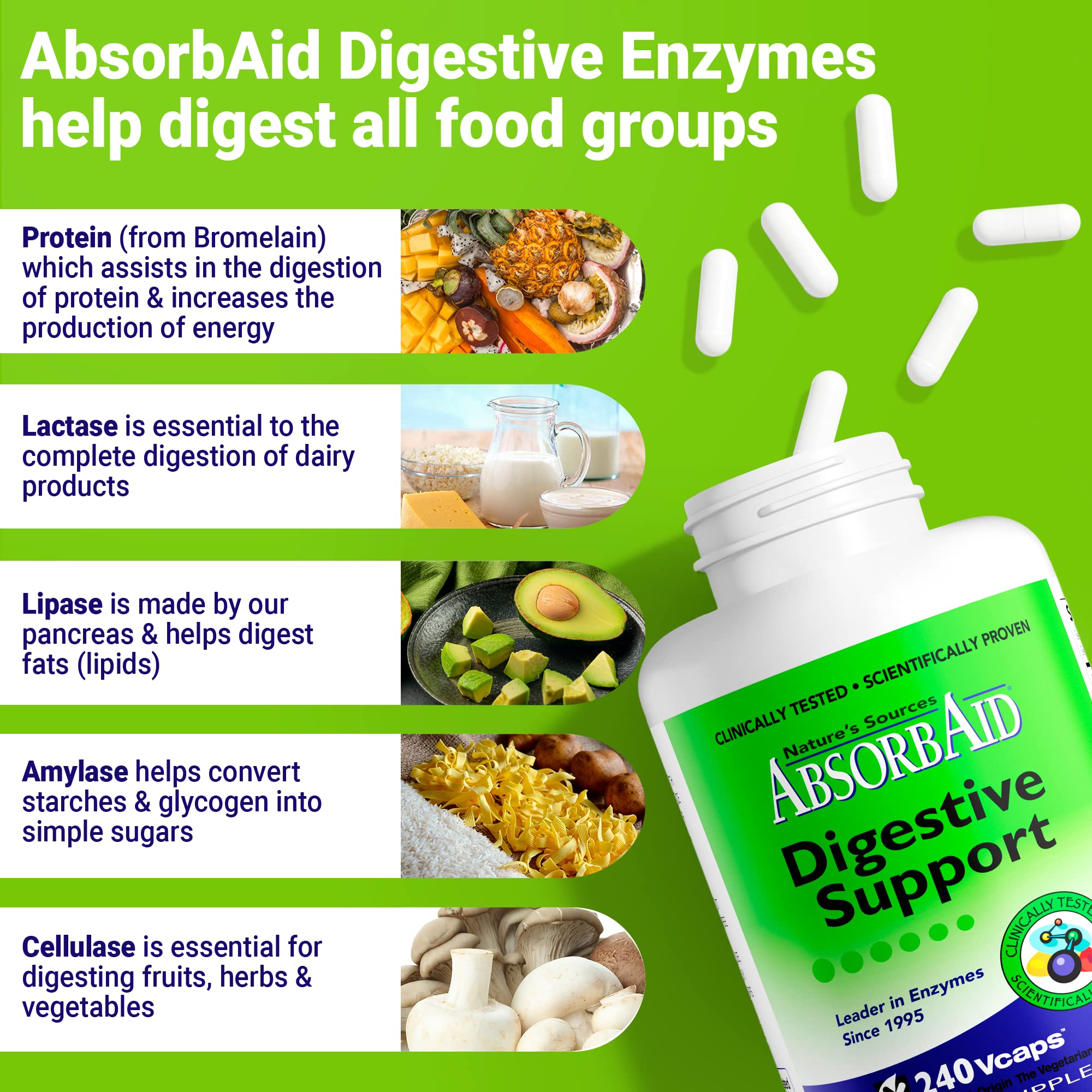 AbsorbAid Digestive Enzymes 240 vCaps, Proven to Increase Vital Nutrient Absorption by up to 71%