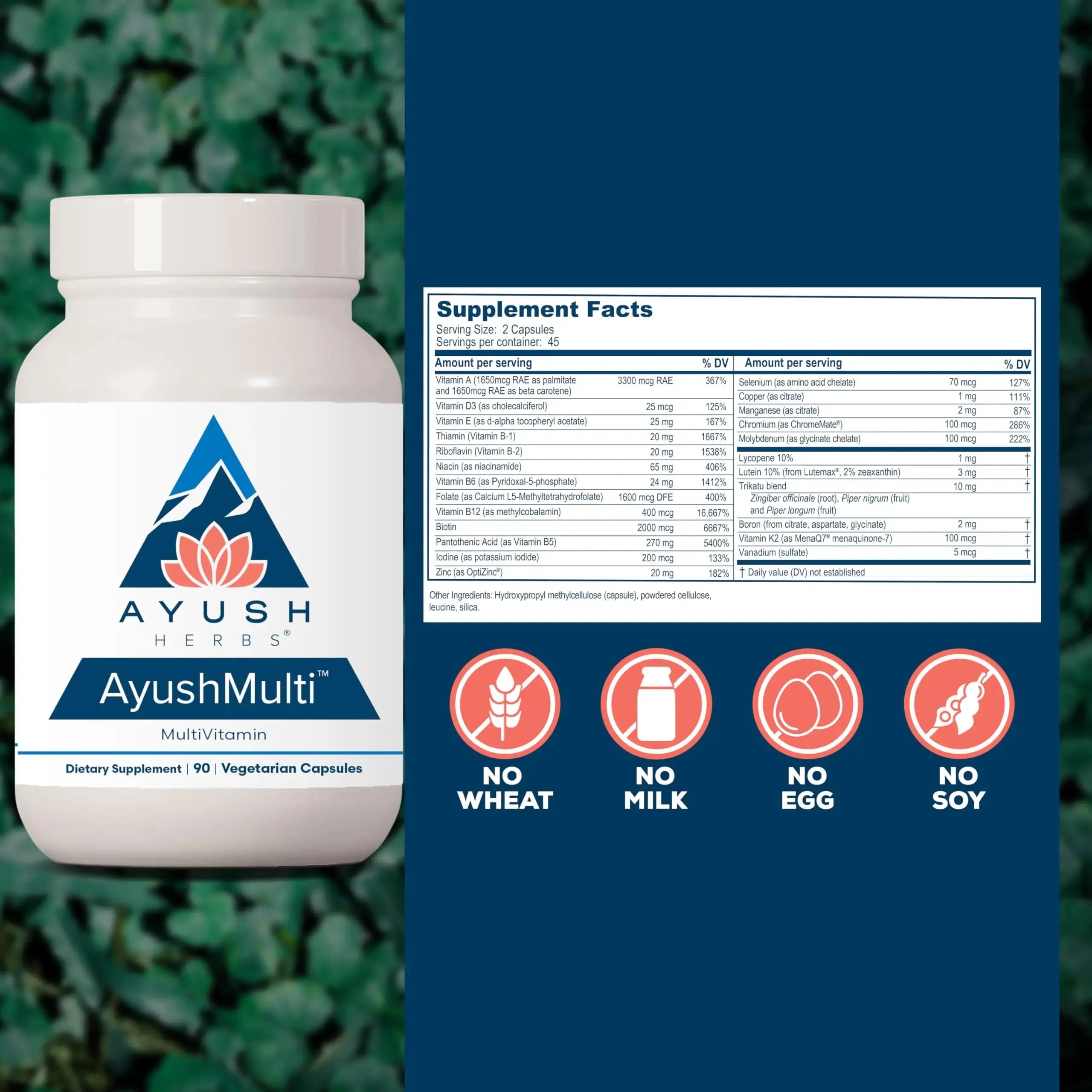 Ayush Herbs Ayush Multi - Multi Vitamin Capsules, Multivitamin with Iodine & Zinc for Men & Women Ayush Herbs Au supplements