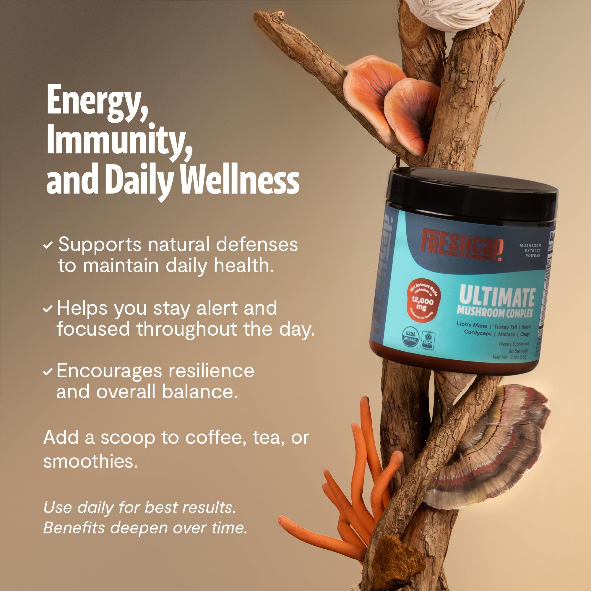 FreshCap Mushrooms Ultimate Mushroom Supplement Powder 12,000mg - Nootropic Organic Mushroom Complex for Focus & Memory, Brain Support Supplement, Ayurveda Mushroom Powder Extract (60 Servings) FreshCap Mushrooms Au supplements