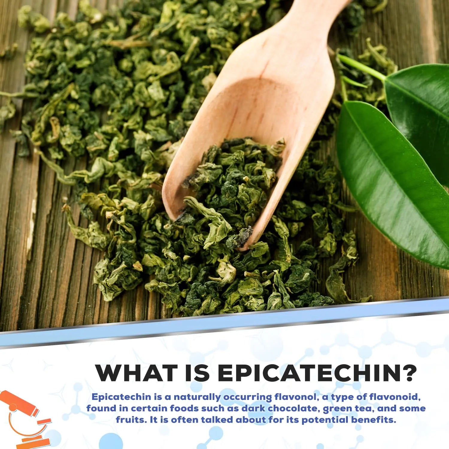 Muscle Empire Epicatechin Extract Capsules | EPI 250mg | 180 Pill Count | Supports Lean Muscle Empire Au supplements