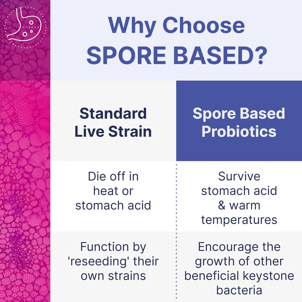 Microbiome Labs MegaSporeBiotic Probiotics for Women & Men - Spore-Based Probiotic for Gut Health & Digestive Support - Shelf-Stable, Travel-Friendly