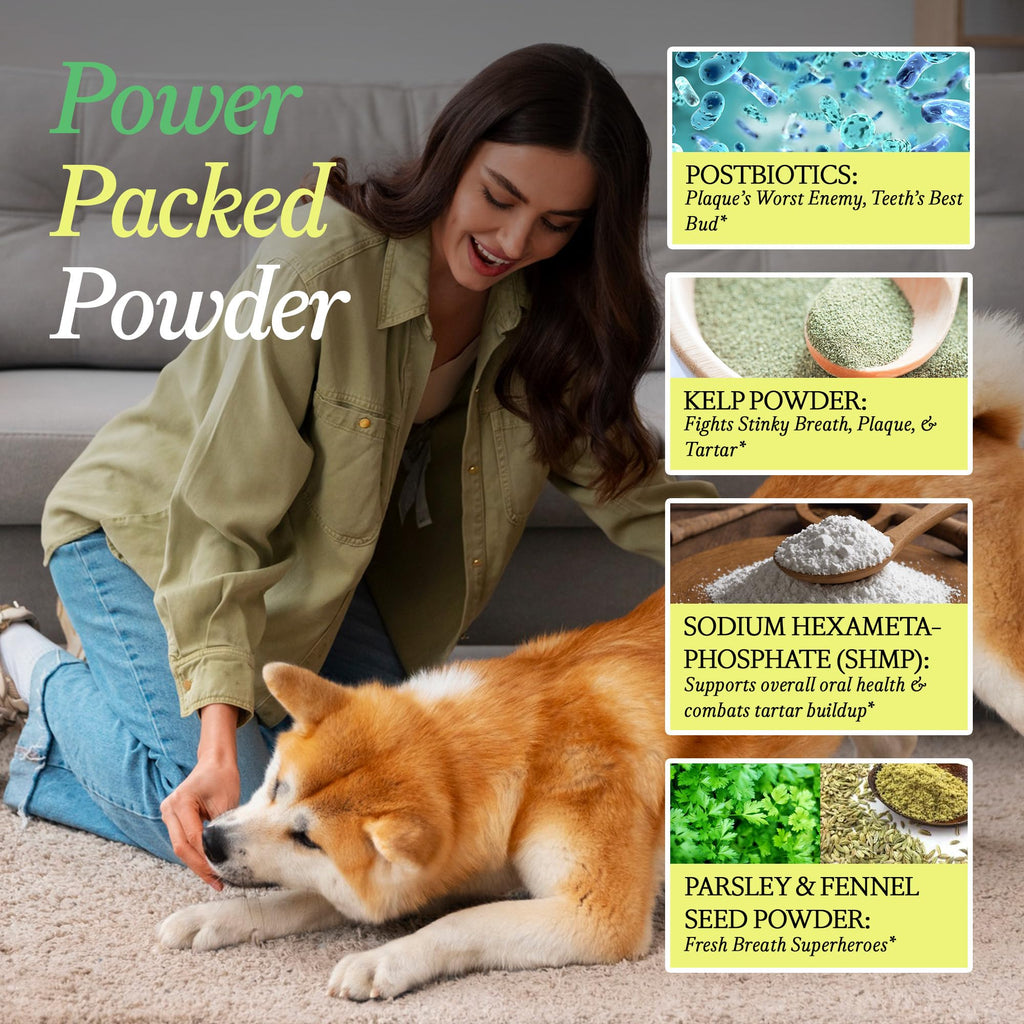 OTHER HALF Doggie Dental Supplement Powder - Dog Breath Freshener & Teeth Cleaning Made Easy - Oral Health Postbiotic for Dogs - Targets Tartar, Plaque & Bad Breath | 45 Scoops, Bacon Flavor OTHER HALF Au supplements