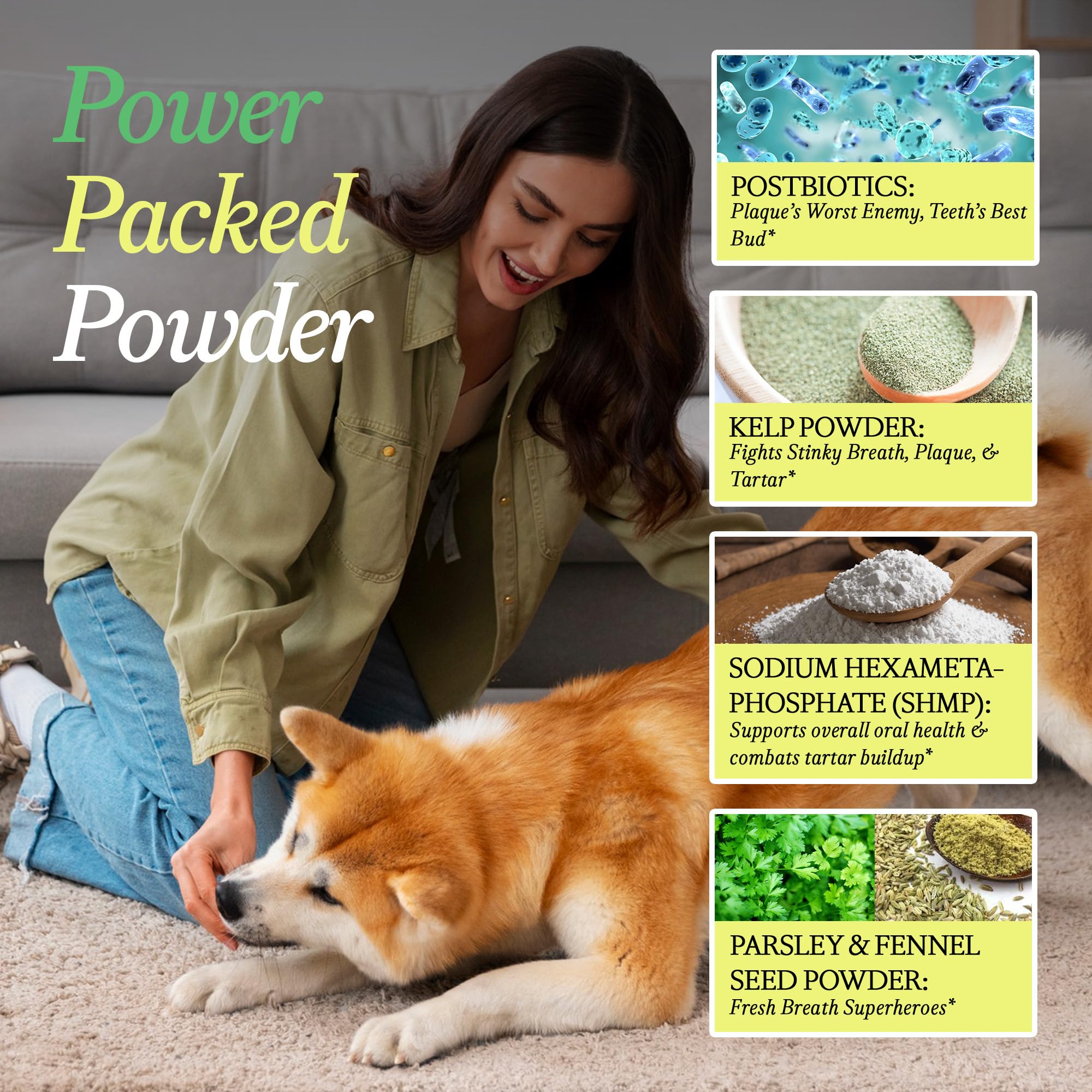 OTHER HALF Doggie Dental Supplement Powder - Dog Breath Freshener & Teeth Cleaning Made Easy - Oral Health Postbiotic for Dogs - Targets Tartar, Plaque & Bad Breath | 45 Scoops, Bacon Flavor OTHER HALF Au supplements