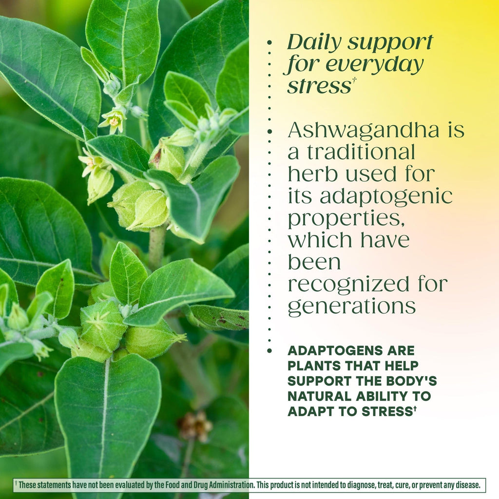MegaFood Adrenal Strength - Adrenal Support Supplements with Ashwagandha and Magnesium Glycinate, Vitamin C, Holy Basil, Astragalus, Reduces Cortisol Levels - Vegetarian - 60 Tablets (30 Servings) MegaFood Au supplements