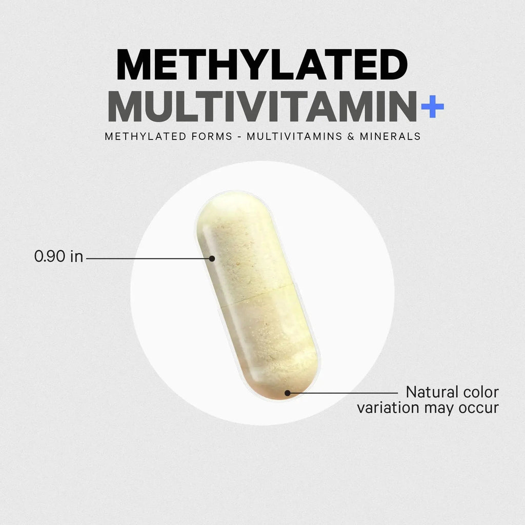 Codeage Methylated Multivitamin Supplement - B-Vitamin, Vitamins A, C, D, E, K2, B12 Methylcobalamin - L-Methylfolate - Magnesium, CoQ10, DIM, Probiotics Codeage Au supplements