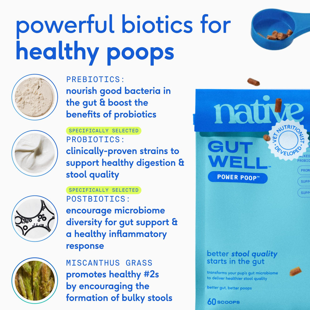 GutWell Power Poop - Digestive Enzymes & Fiber for Dogs - Dog Fiber Supplements Help with Diarrhea Relief, Upset Stomach, Pet Gas & Gut Health with Targeted Triple-Biotic Blend & M-Fiber - 60 Scoops Native Pet Au supplements