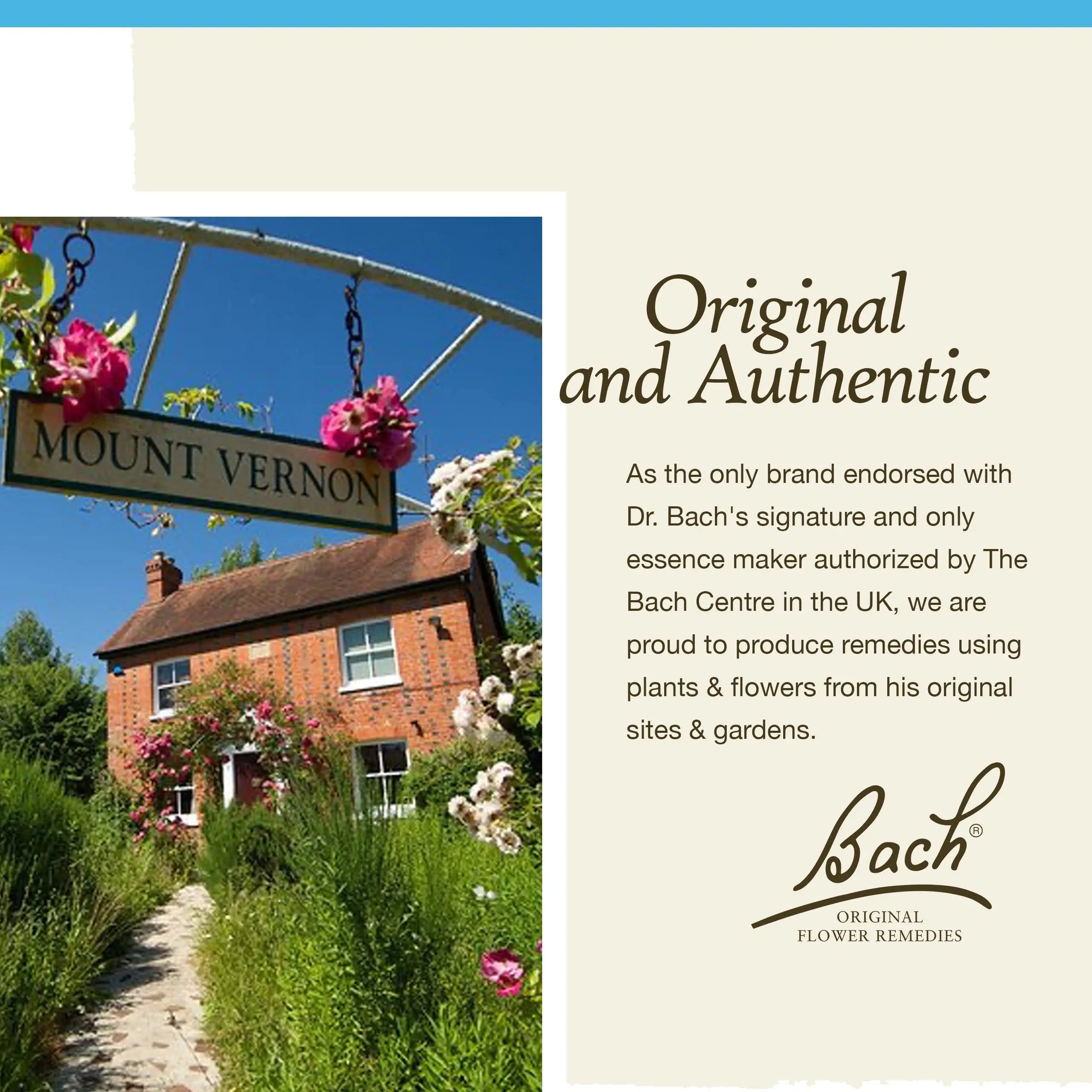 Bach Original Flower Remedies, Rock Water for Flexibility, Natural Homeopathic Flower Essence Bach Au supplements