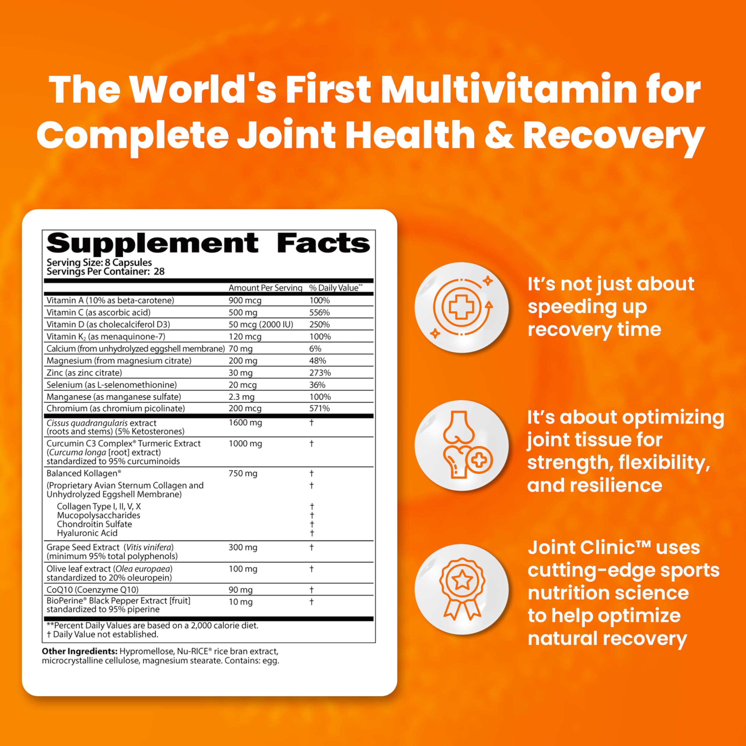 SaltWrap Joint Clinic - Multivitamin for Joint Health and Recovery - with Type II Collagen, C3 Turmeric, Cissus, and Hyaluronic Acid - 224 Capsules SaltWrap Au supplements